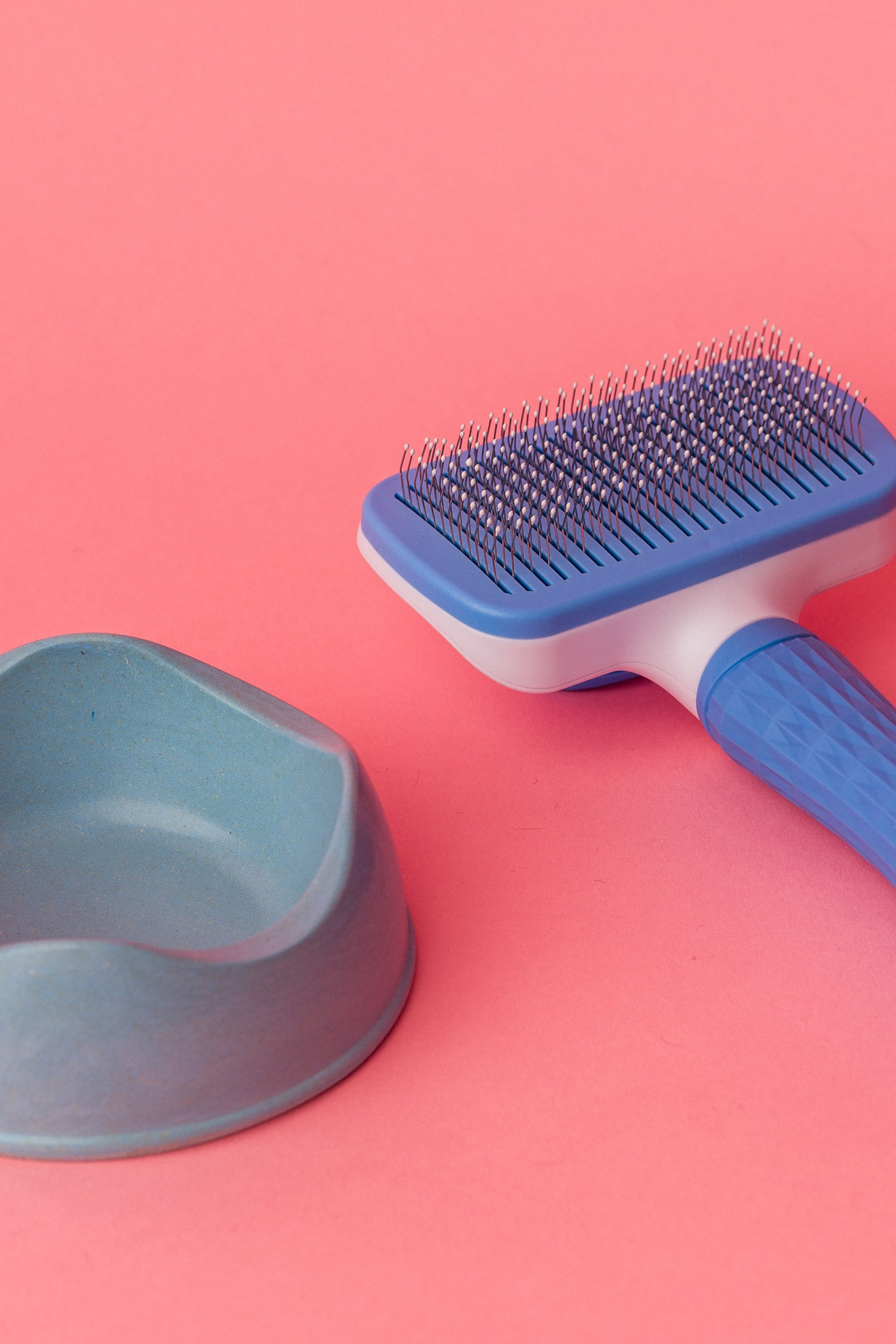 Пример доступных товаров для животных с высоким качеством.