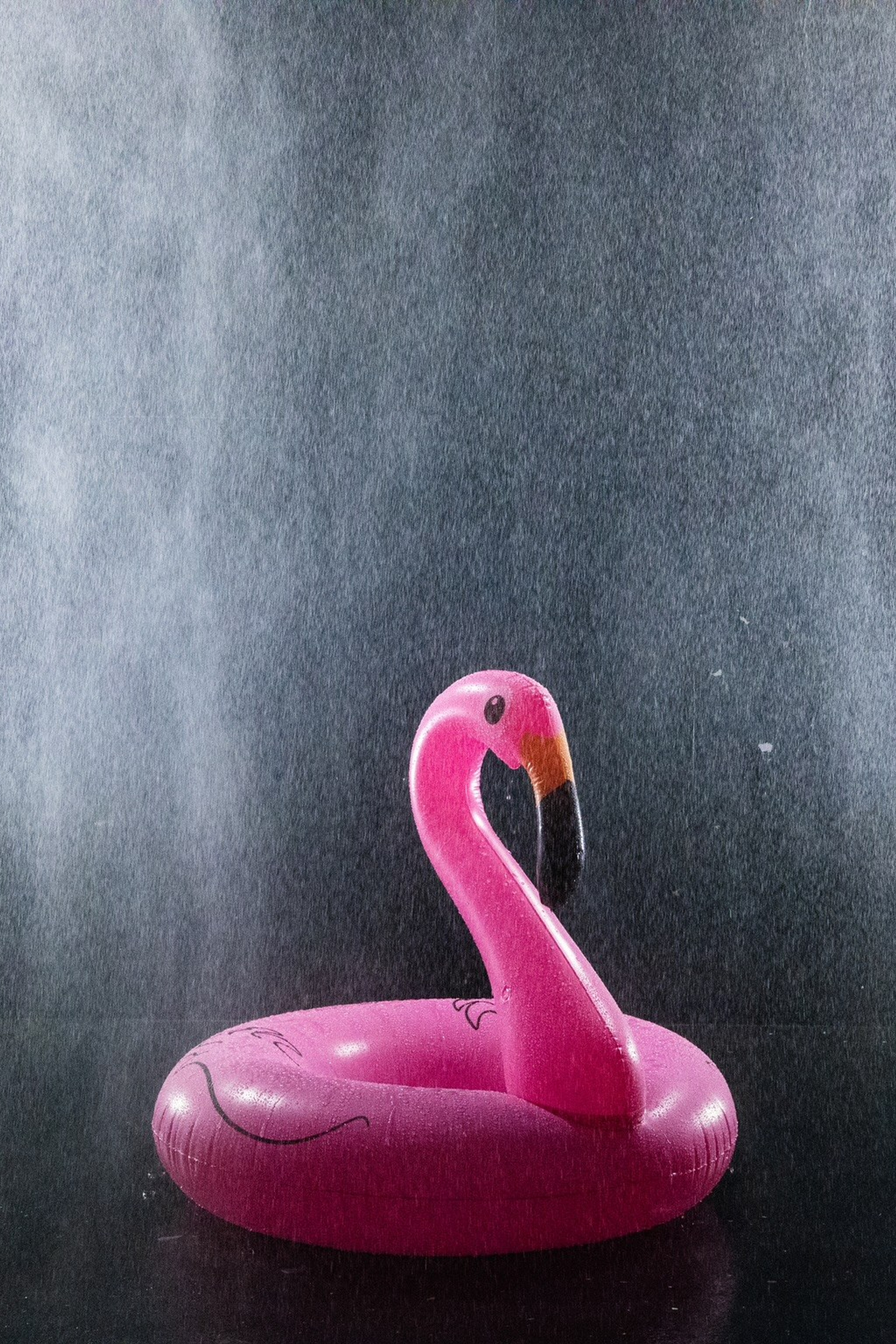 Студия Тейя — Зал Дождь для предметной съемки Н.Новгород |Sale Easy