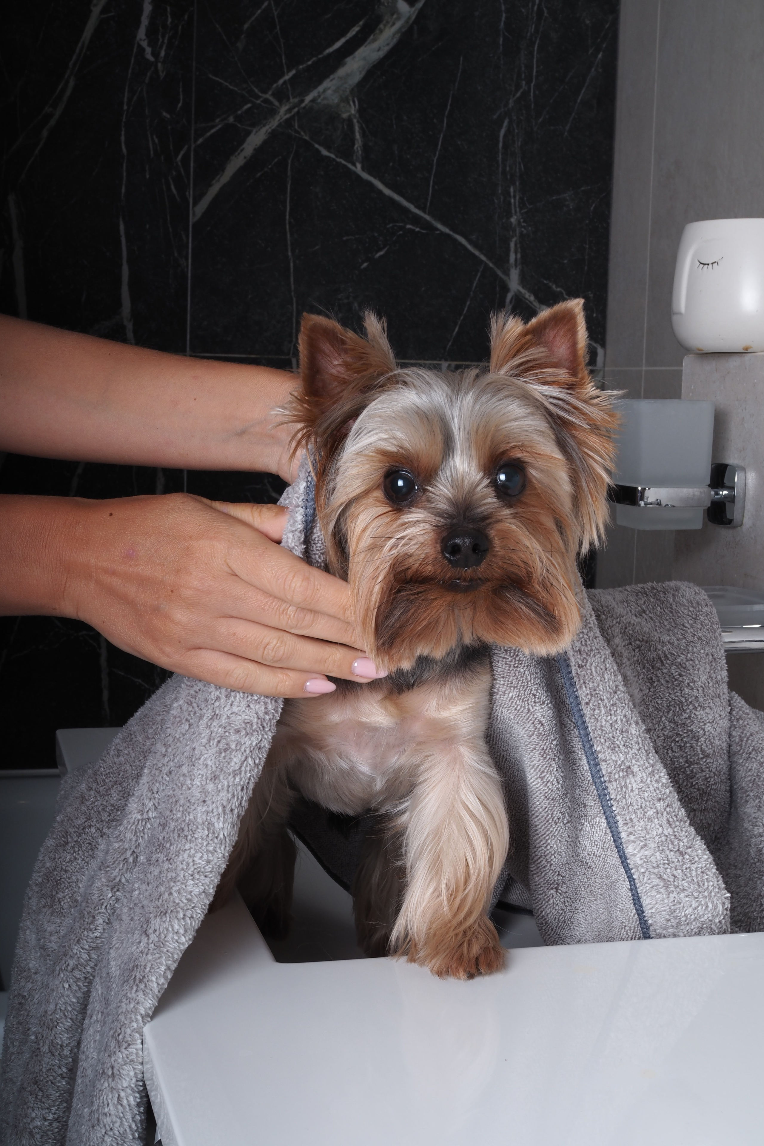 Модель для предметной съемки йорк Рафаэль Н.Н.| Sale Easy