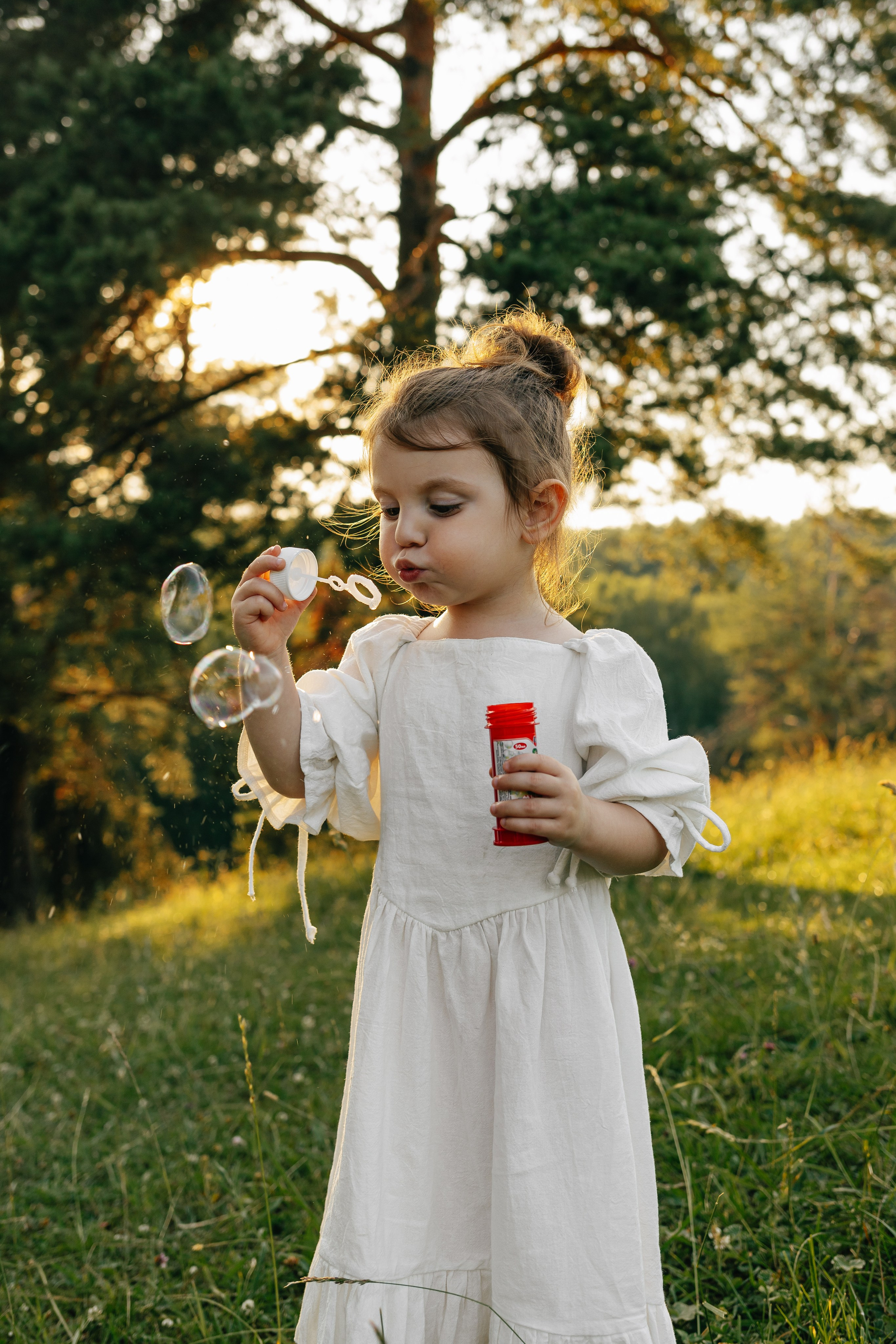 Летние мгновения