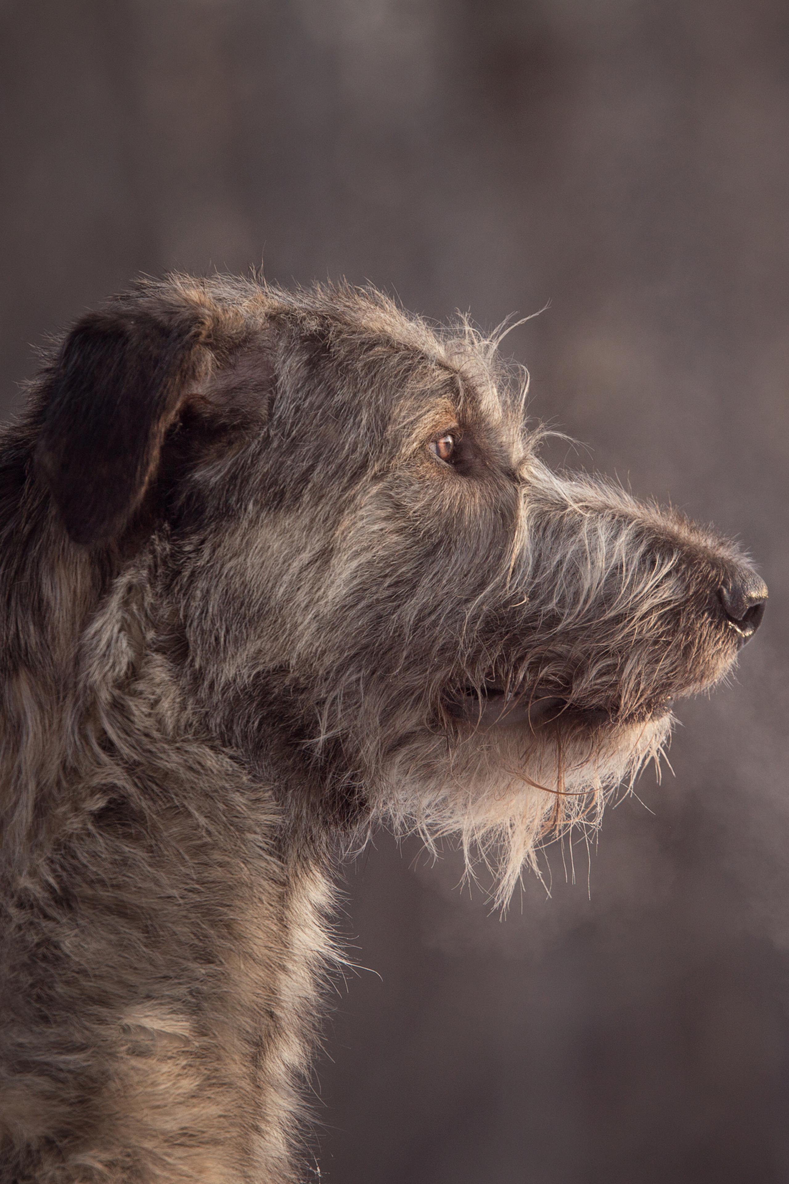 Блог. Фотограф в Новосибирске