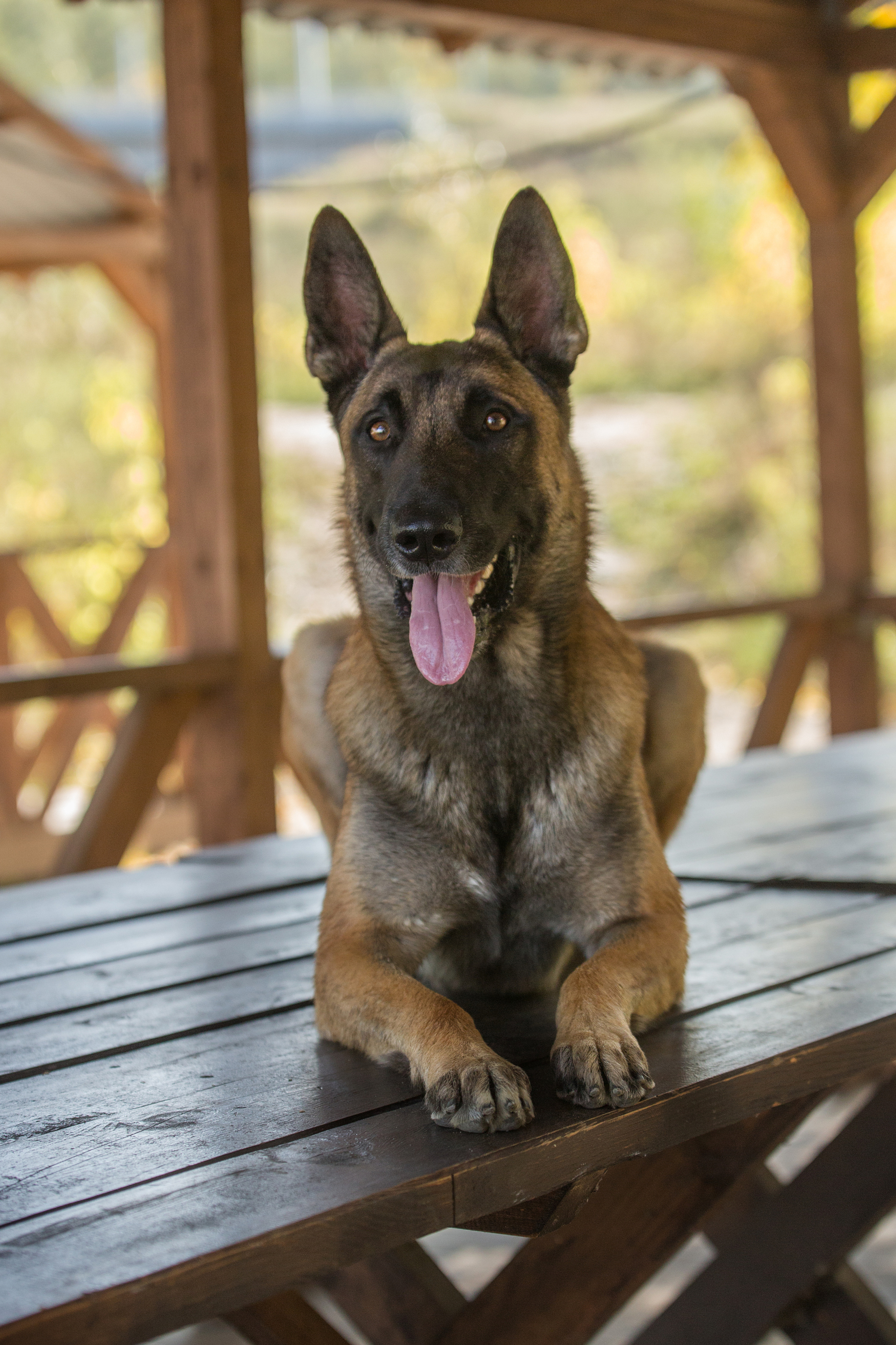 Коннор и Мара