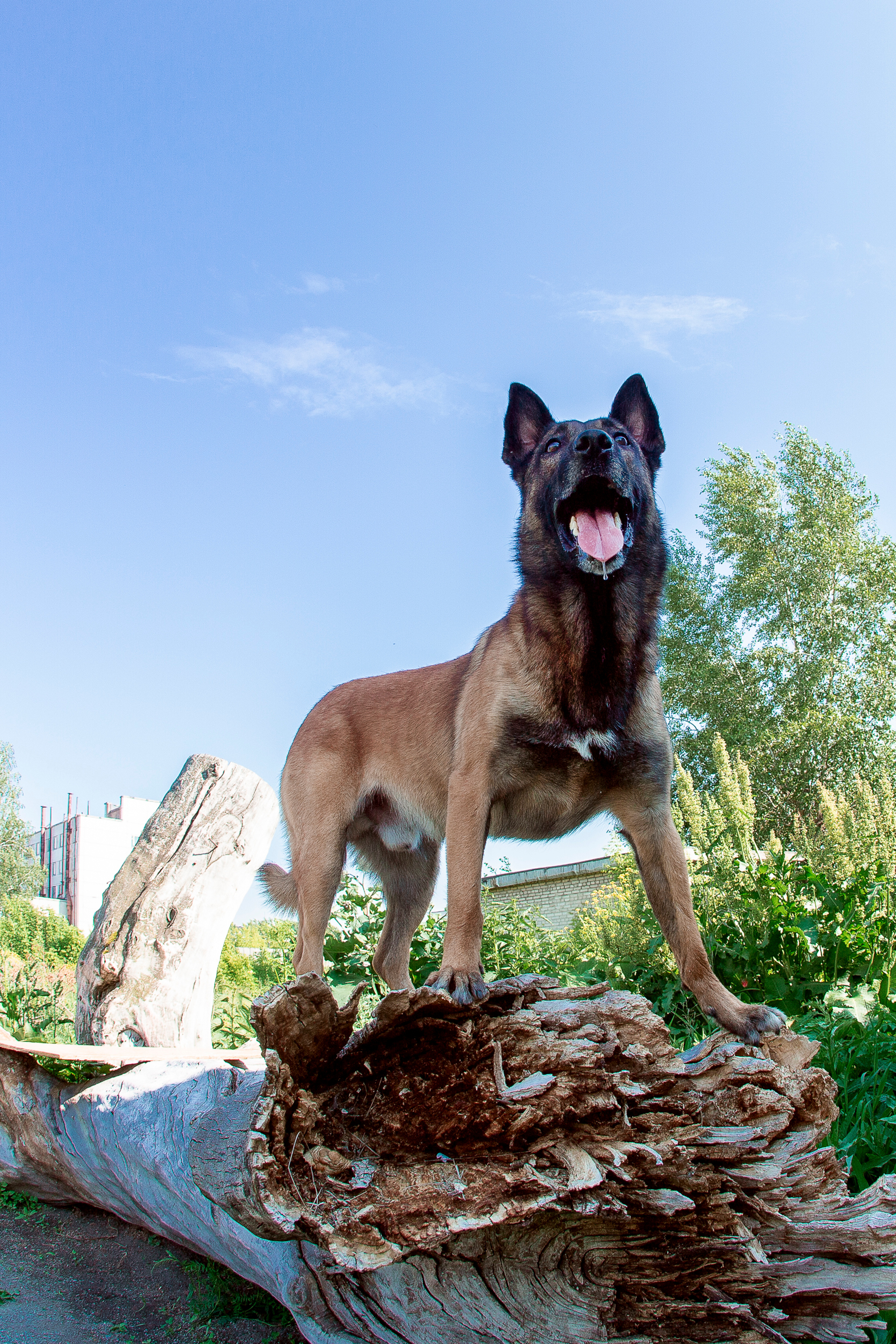 Фотосъемка в Новосибирске. Фотограф в Новосибирске