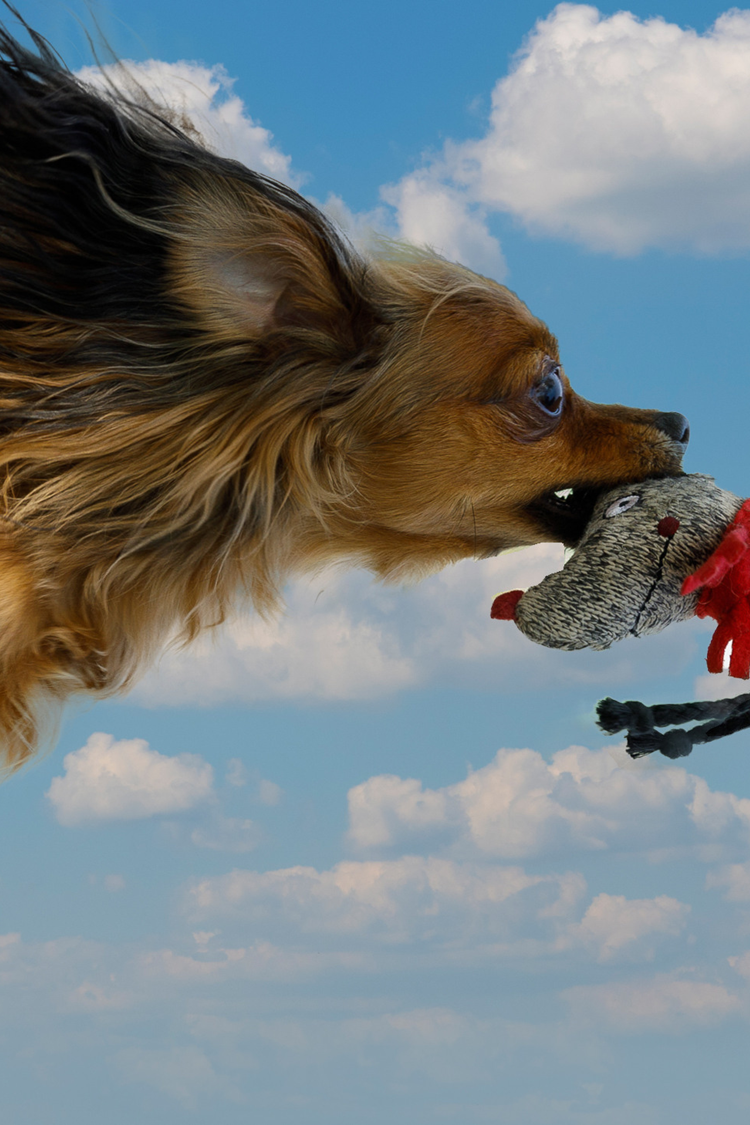 Фотосъемка в Новосибирске. Фотограф в Новосибирске