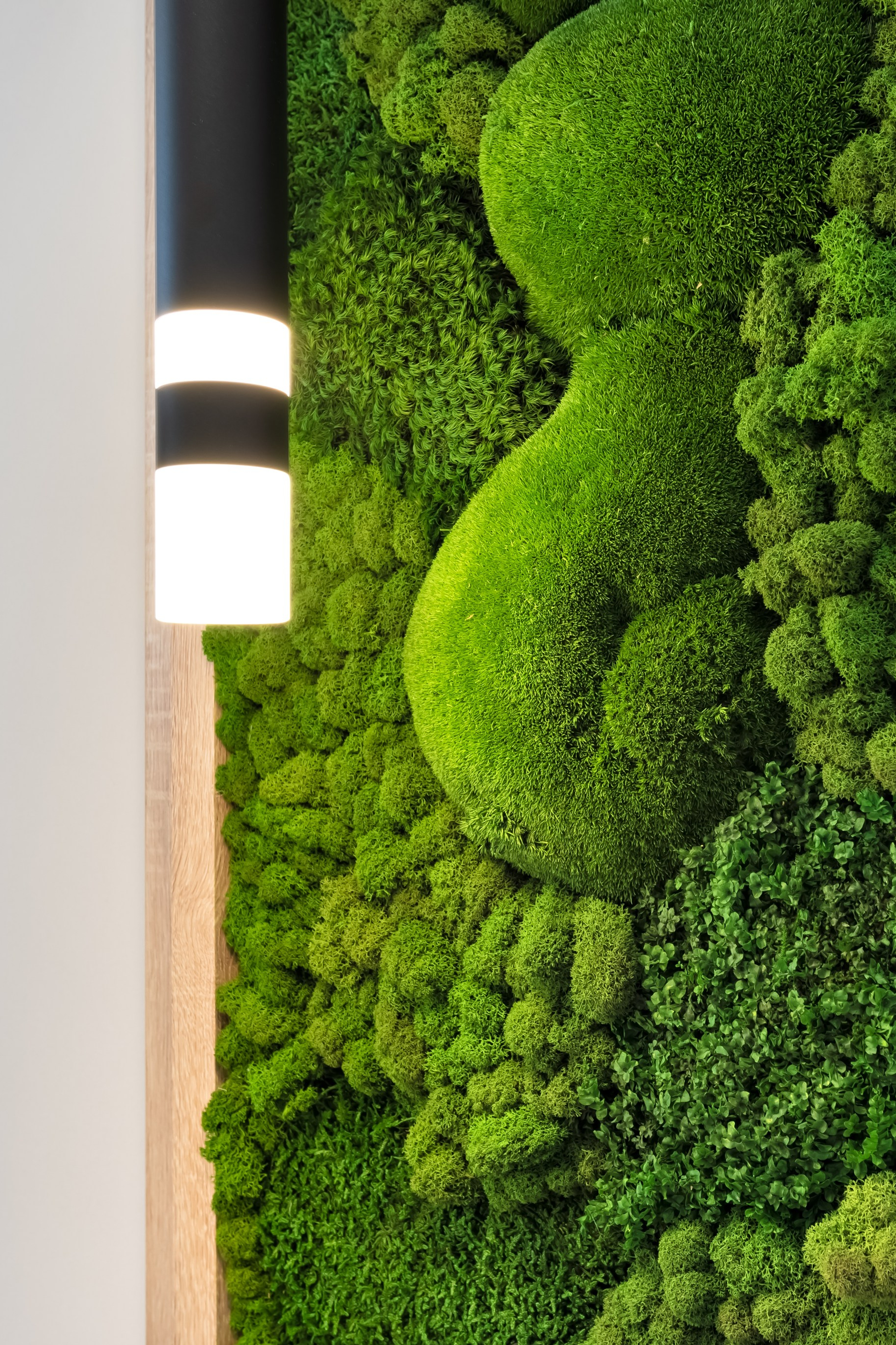 Расцветай на&nbsp;Красном