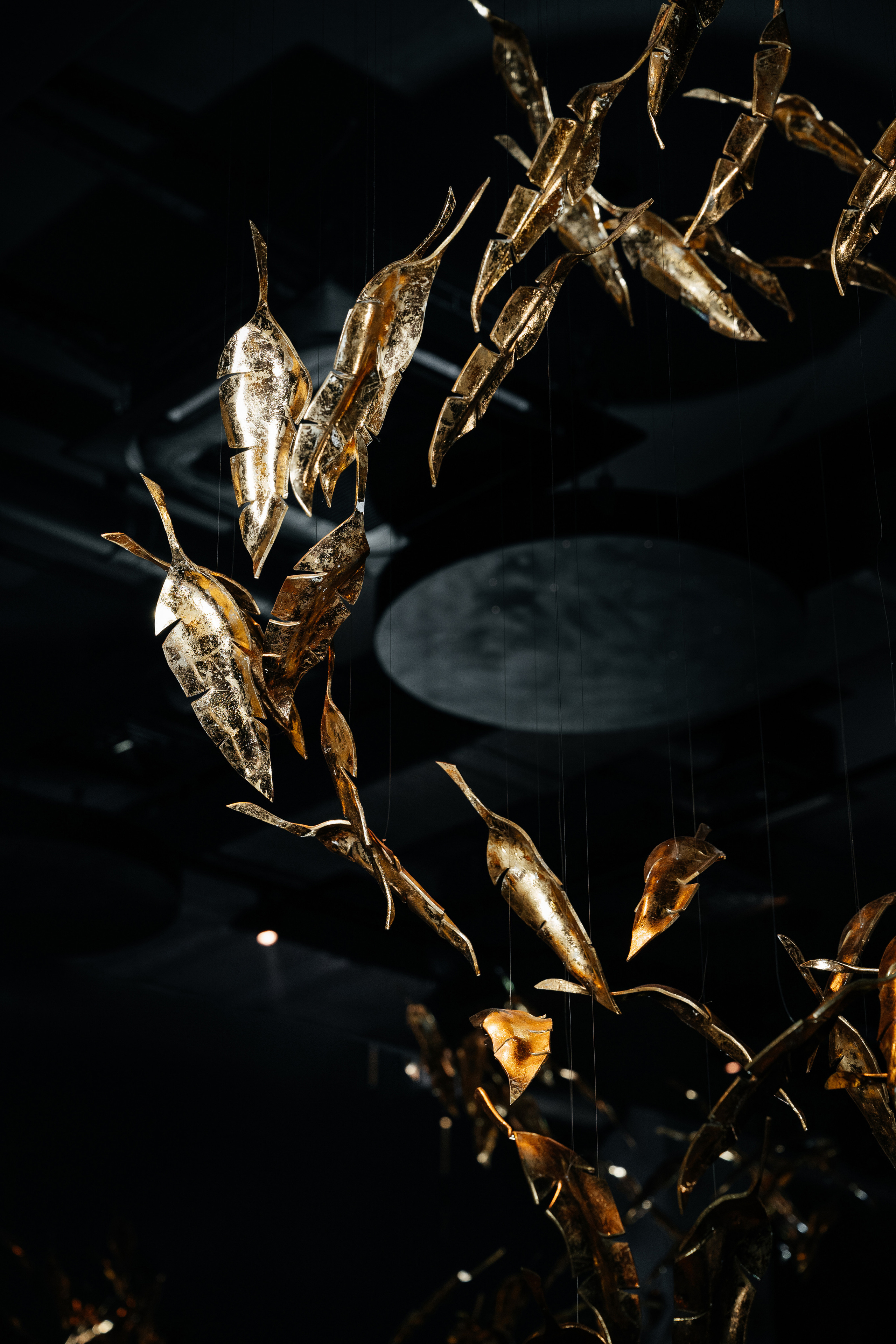 День Рождения Дмитрия