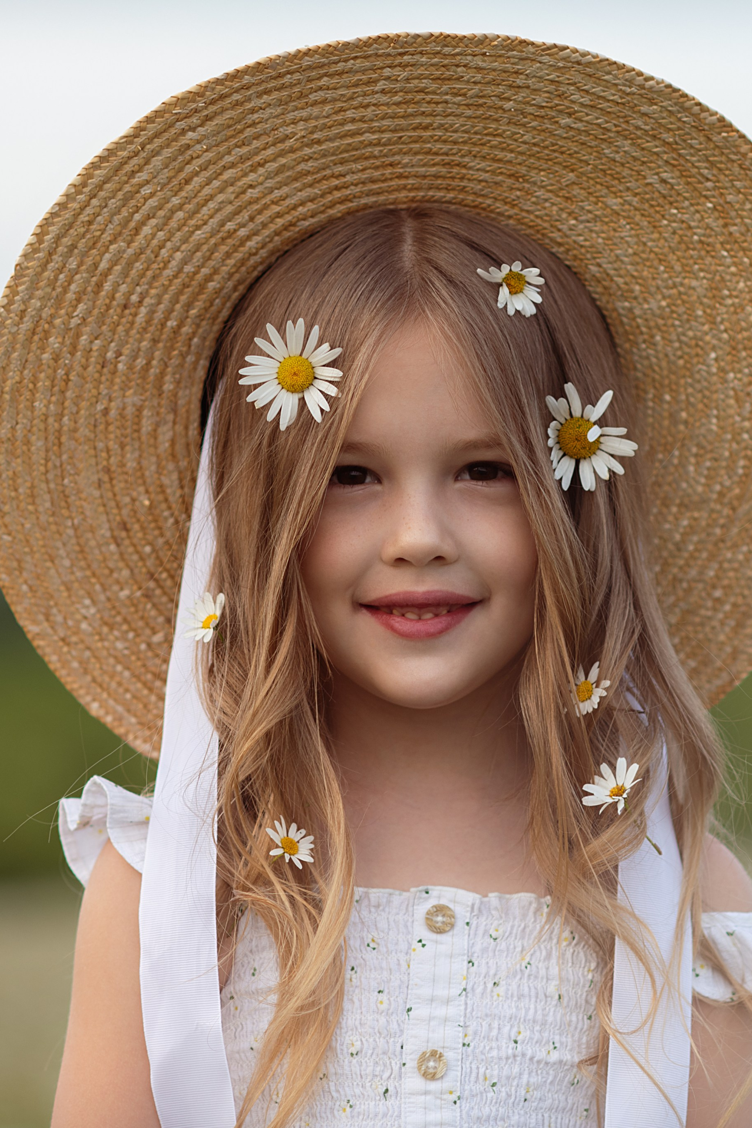 Ромашковое поле