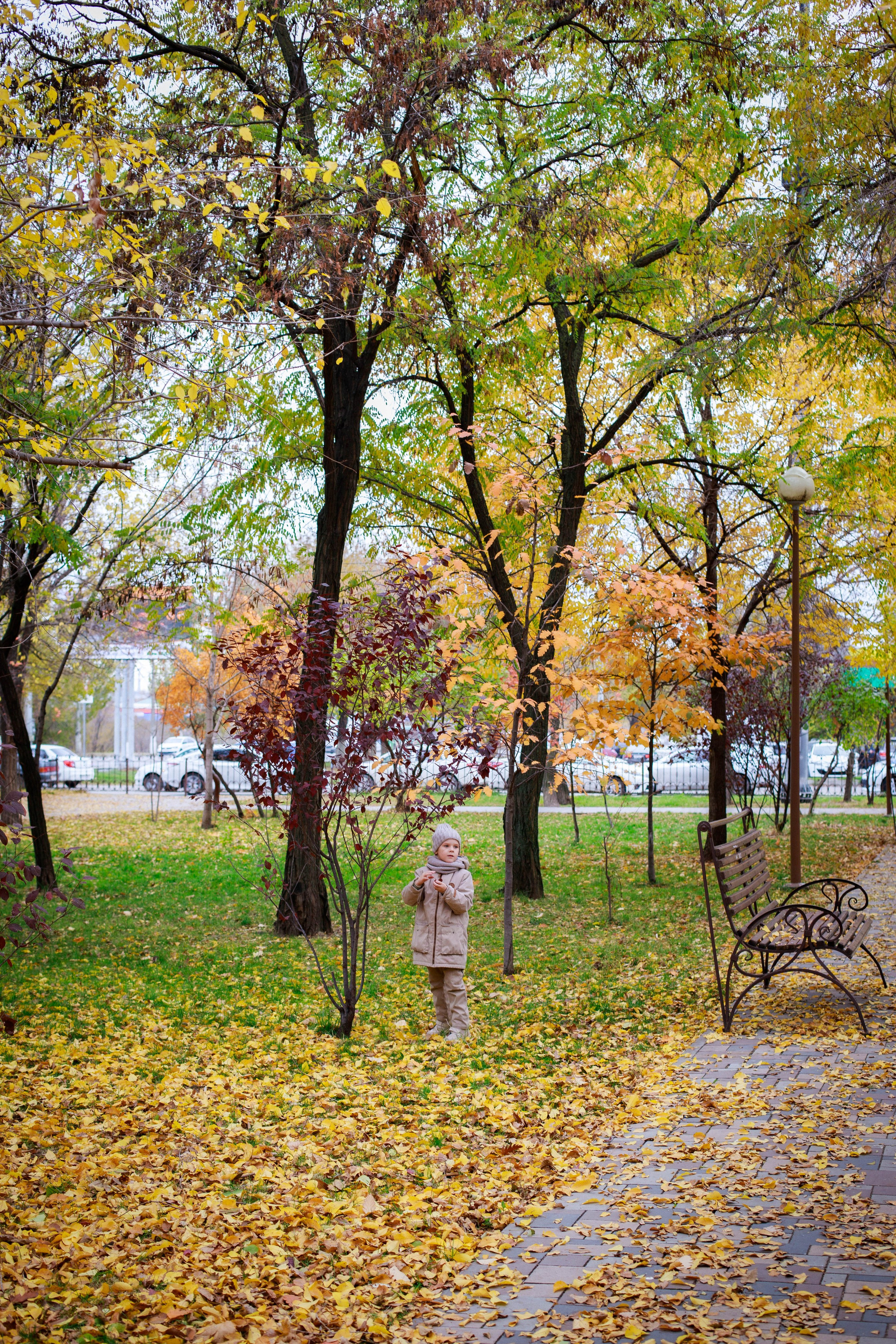 Осенние прогулки