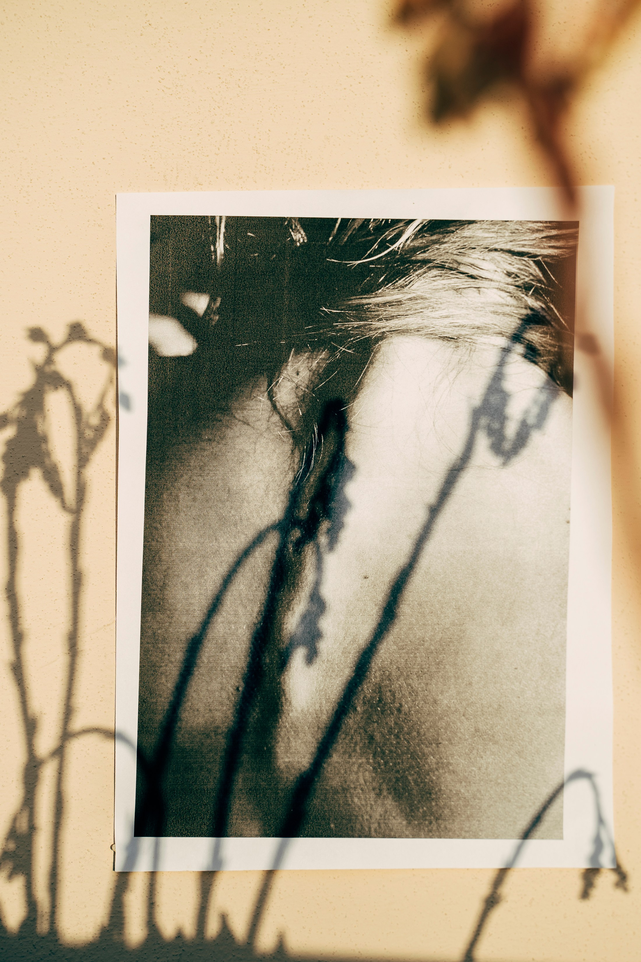 Blog di Fotografia. Family Lifestyle Photographer in Lucca, Italia