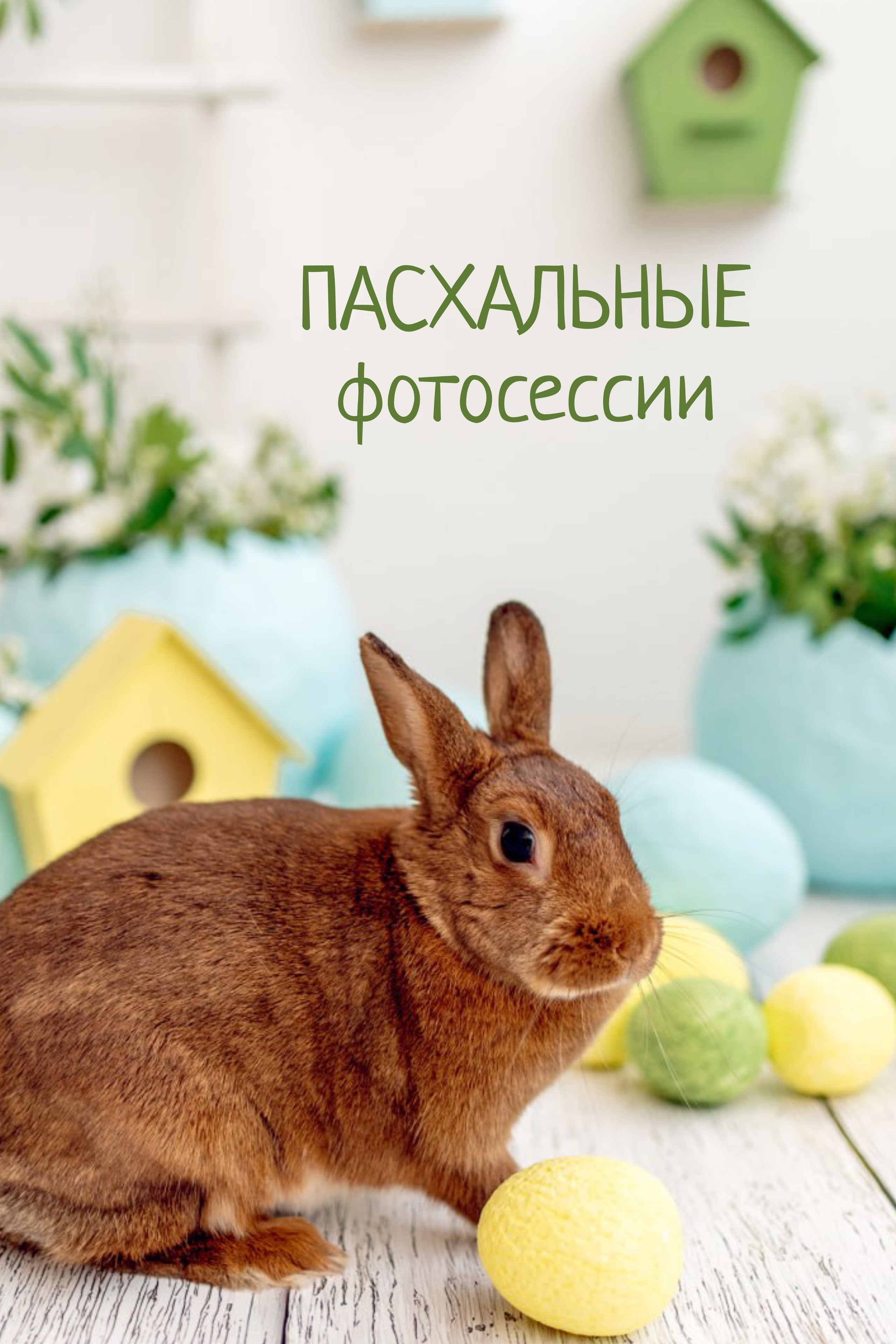 Блог. Детский, семейный, фотограф новорожденных, на годик в Рязани Татьяна Ивашкова