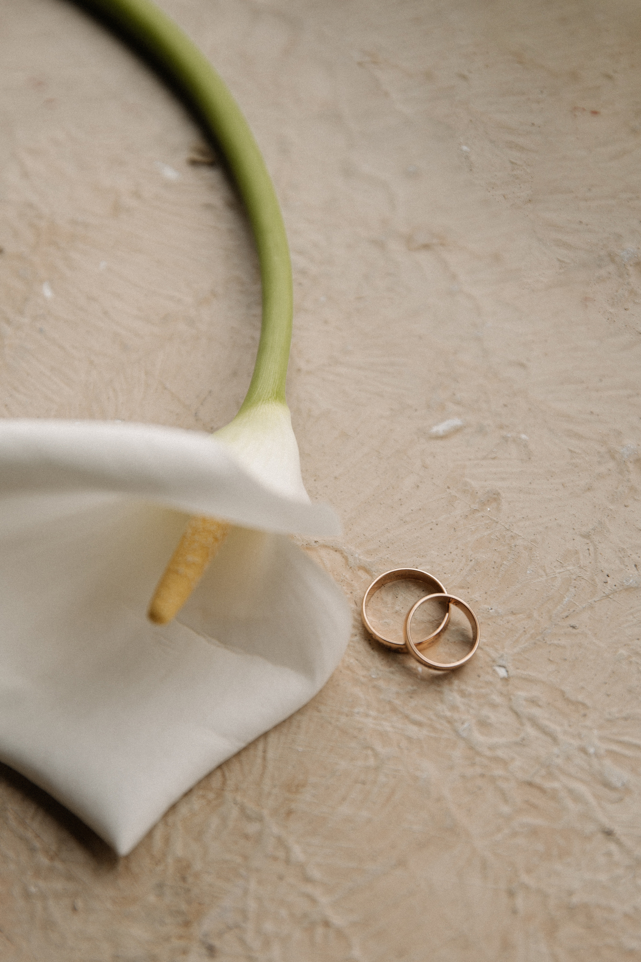 Рузанна & Алексей