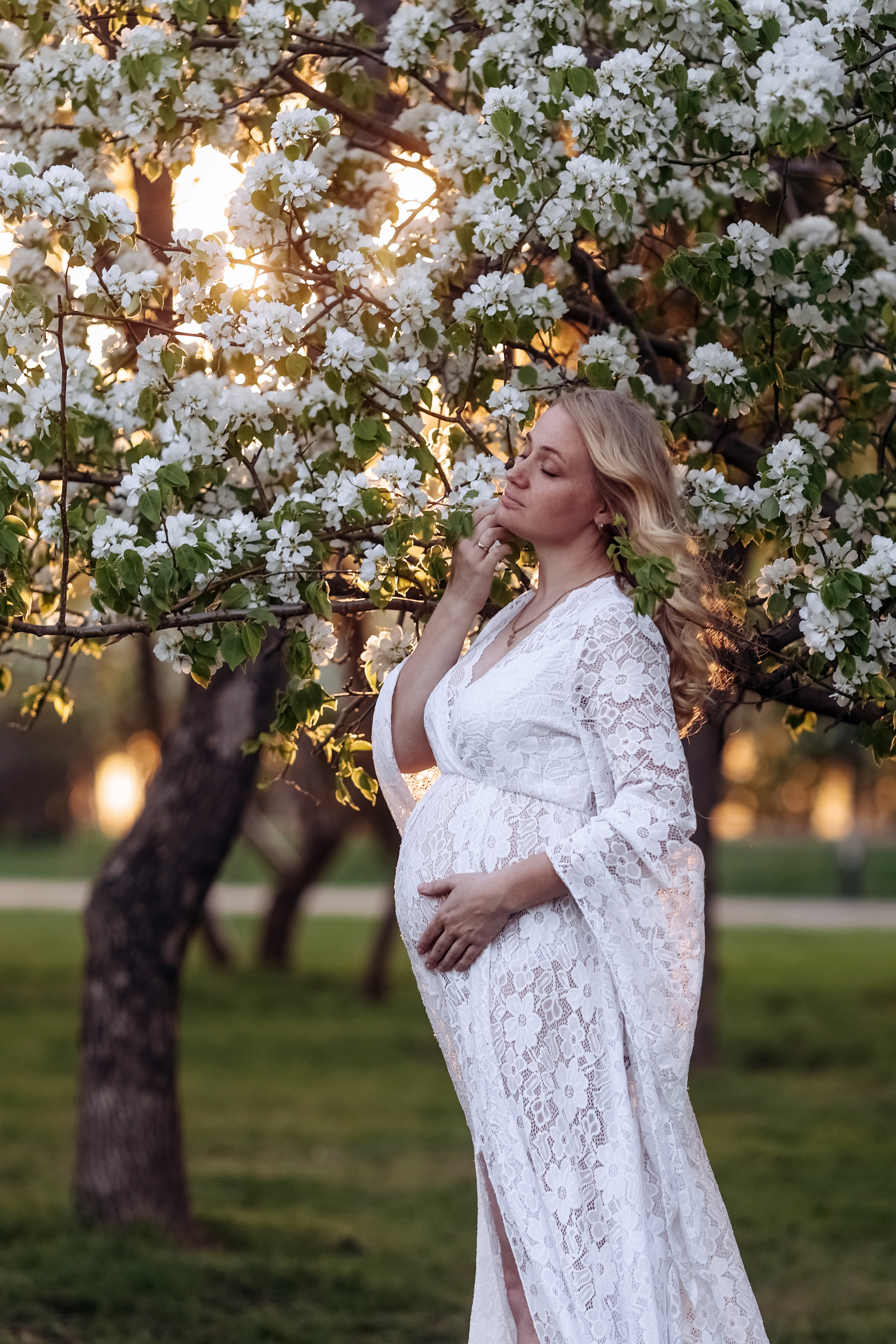 Сады цветут