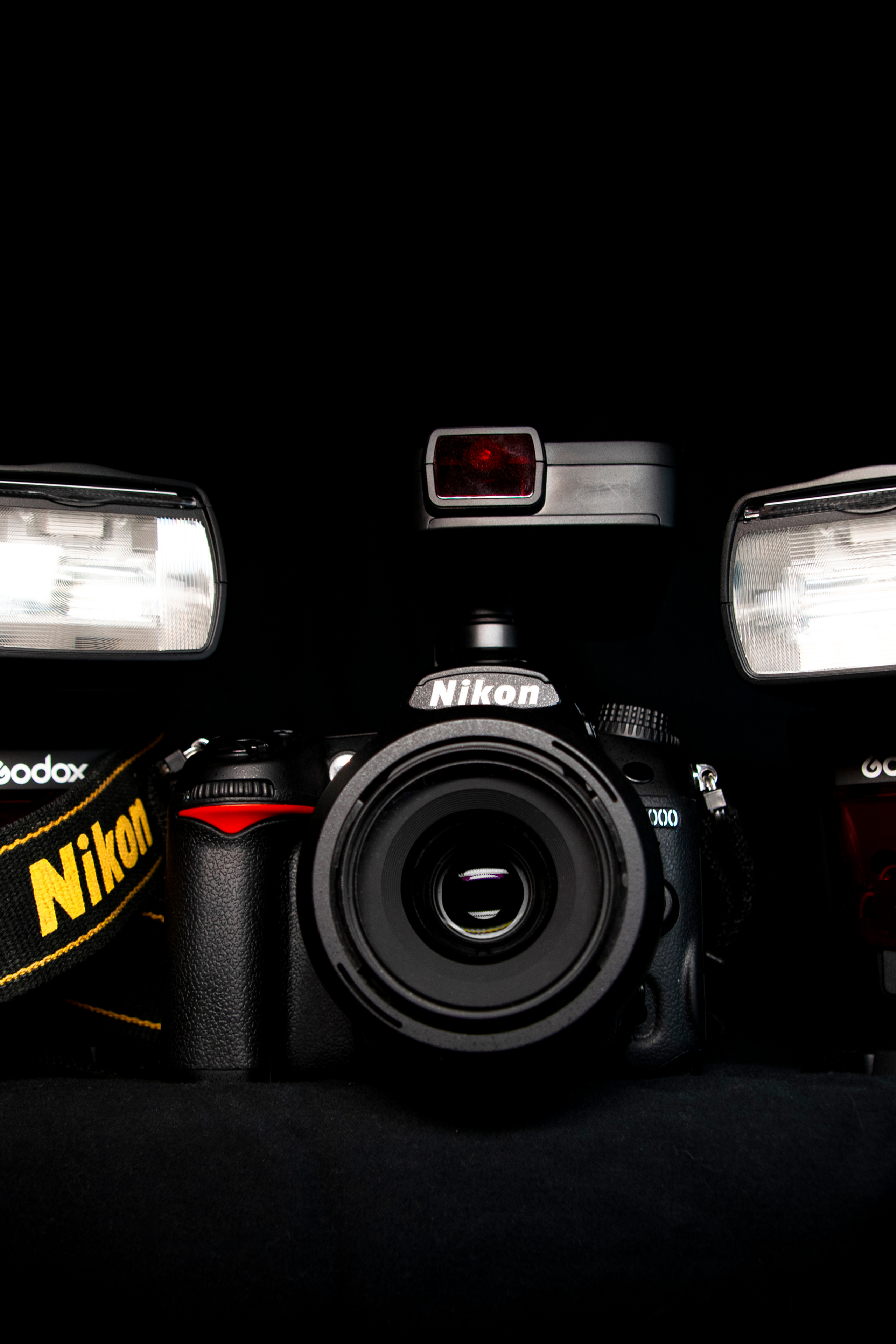 Блог фотографа. Фотограф людей и животных в Санкт-Петербурге Марина Бурмистрова