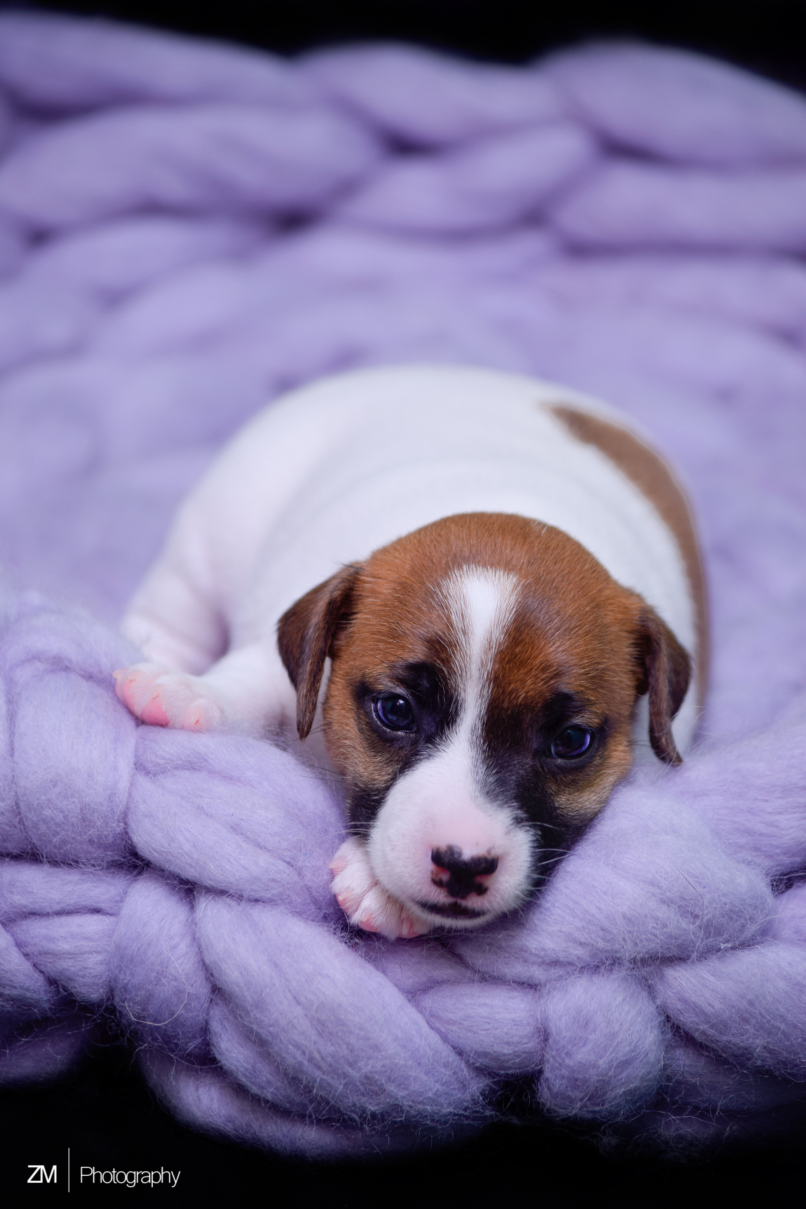 Блог фотографа. Фотограф людей и животных в Санкт-Петербурге Марина Бурмистрова