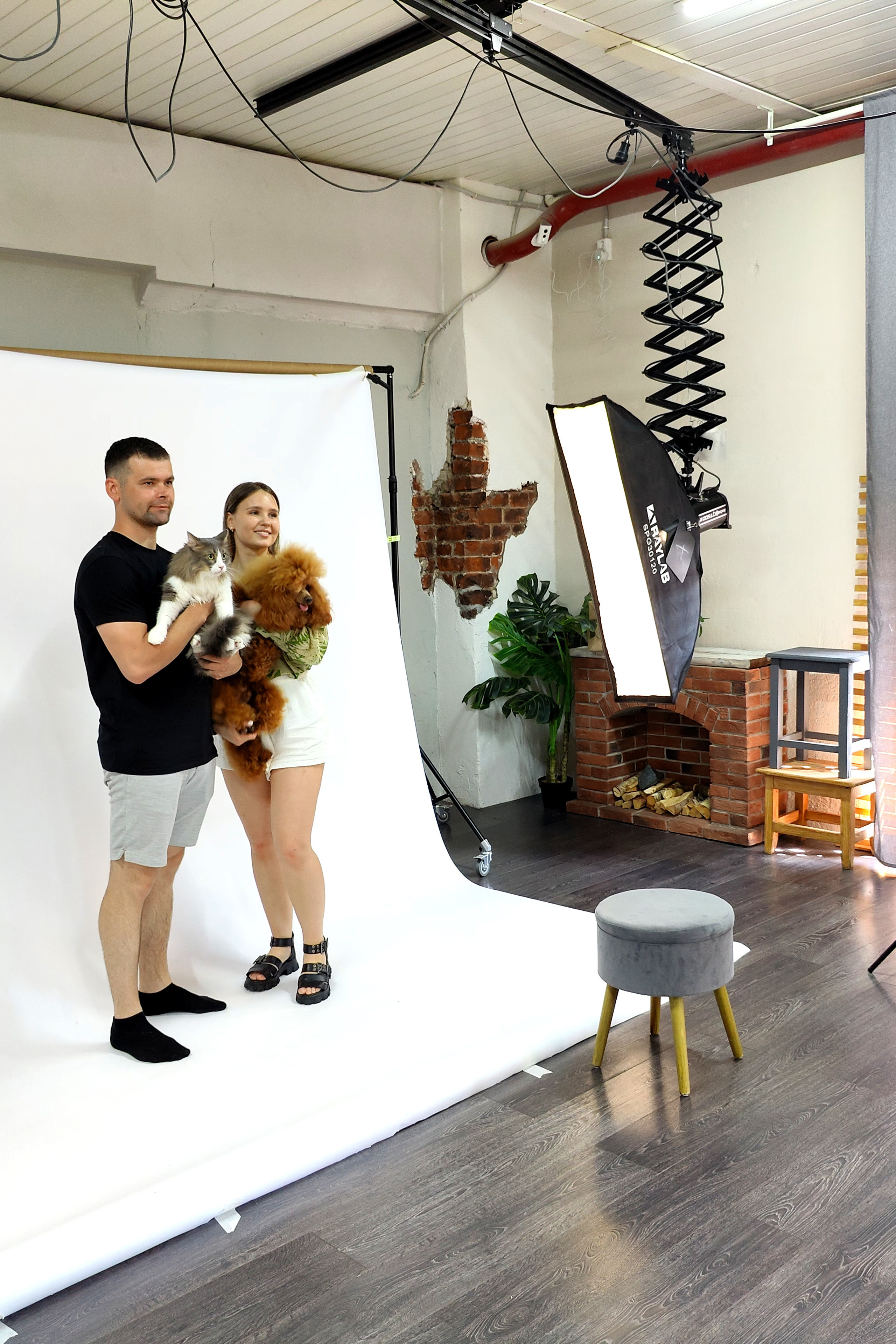 Autumn Cats. Фотограф людей и животных в Санкт-Петербурге Марина Бурмистрова