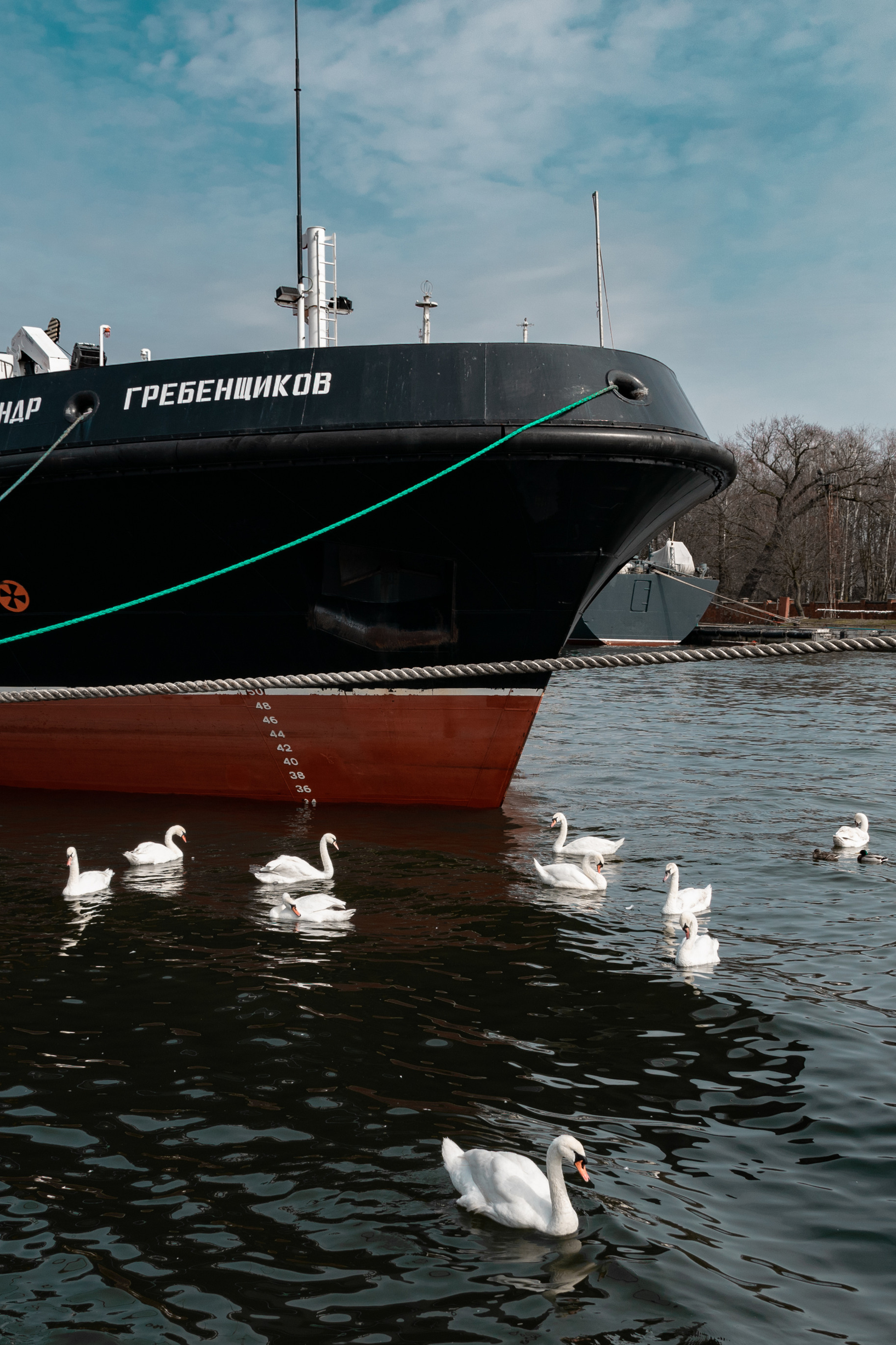 Блог фотографа. Фотограф людей и животных в Санкт-Петербурге Марина Бурмистрова