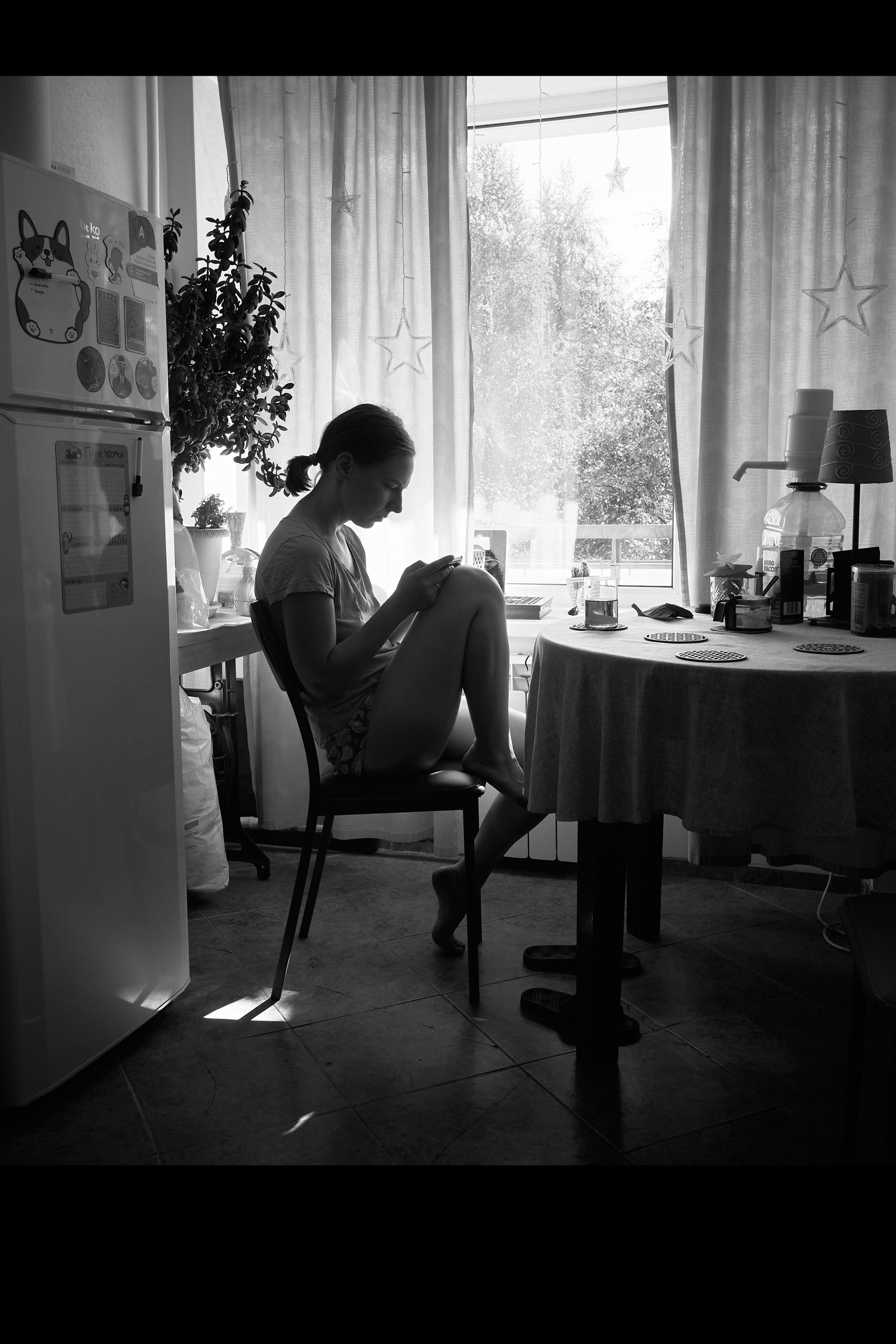 Autumn Cats. Фотограф людей и животных в Санкт-Петербурге Марина Бурмистрова