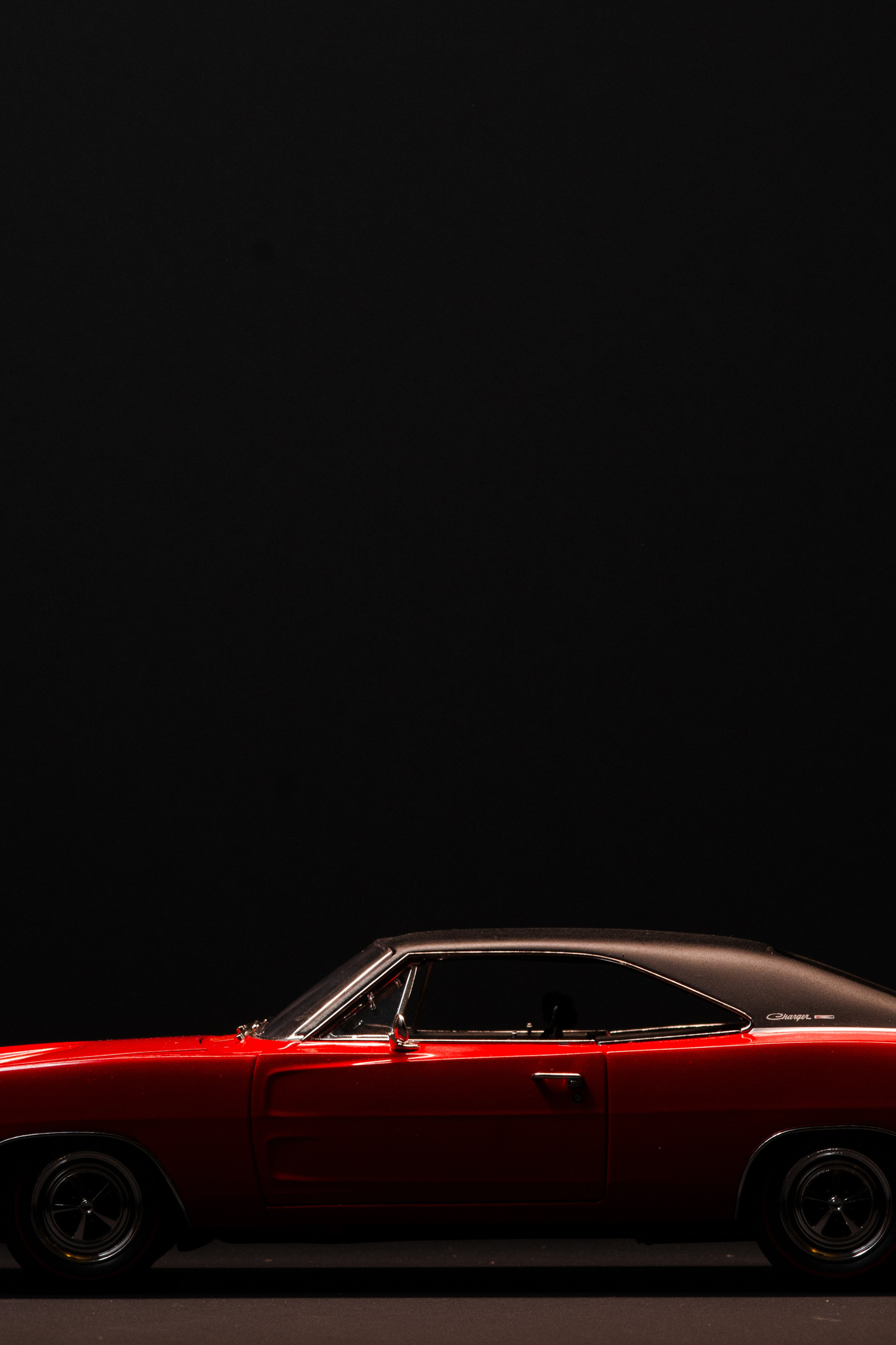 Блог фотографа. Фотограф людей и животных в Санкт-Петербурге Марина Бурмистрова