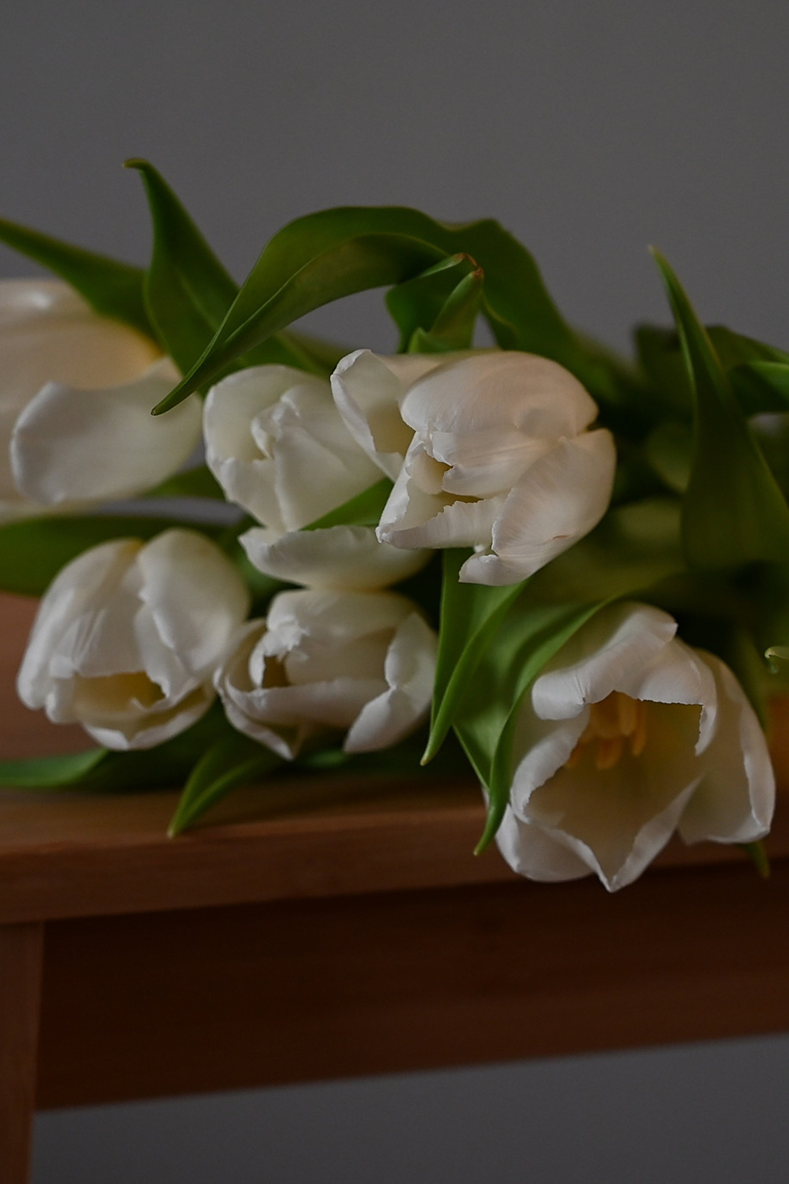 Блог. Семейный и свадебный фотограф в Сарове Дмитрий Власов