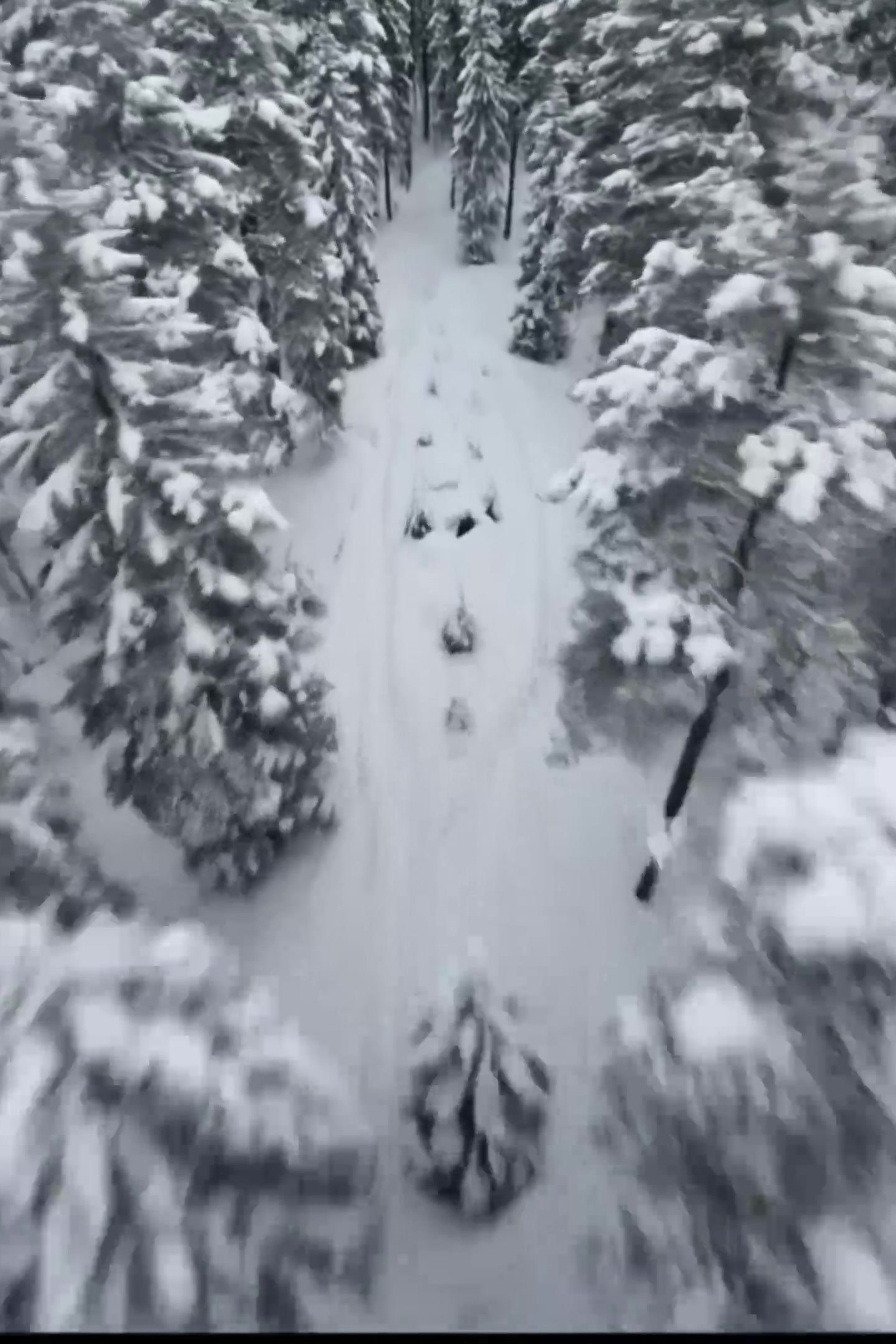 AI видео. AI контент для людей и бизнеса