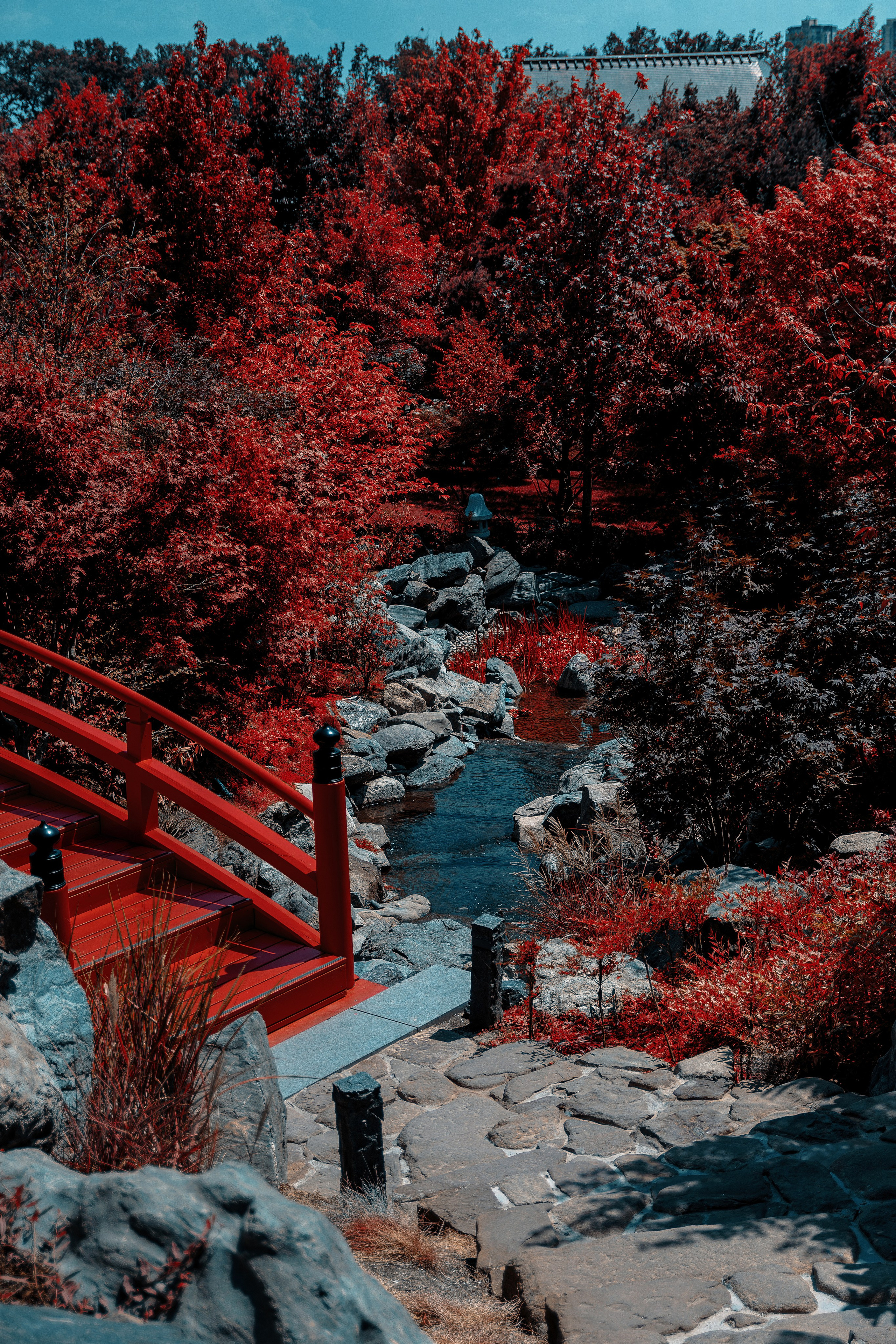 Фотосессия в японском стиле в краснодаре в парке Галицкого. прекрасный образ гейши и женская эстетика. Красивая природа Японии. 