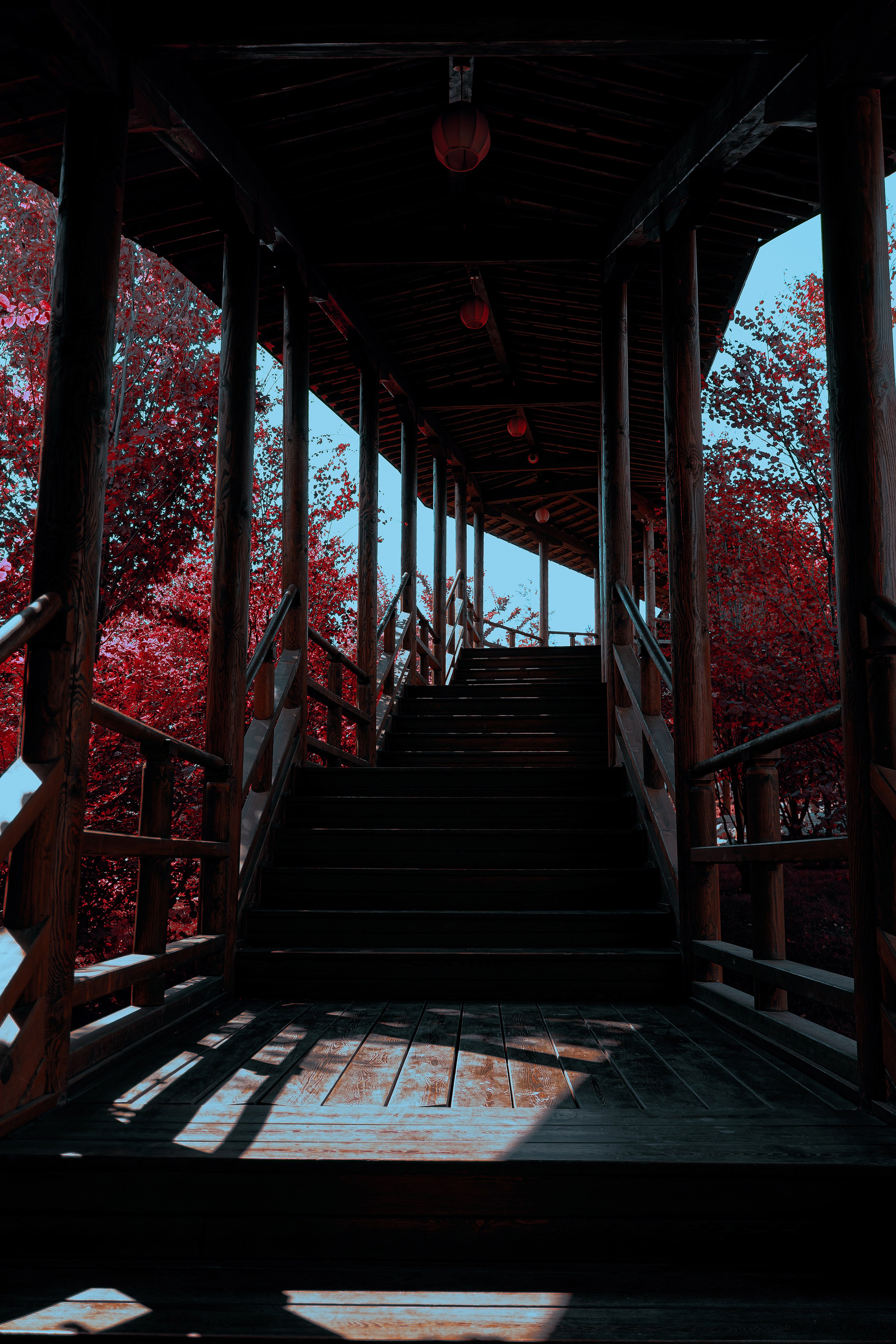 Фотосессия в японском стиле в краснодаре в парке Галицкого. прекрасный образ гейши и женская эстетика. Красивая природа Японии. 