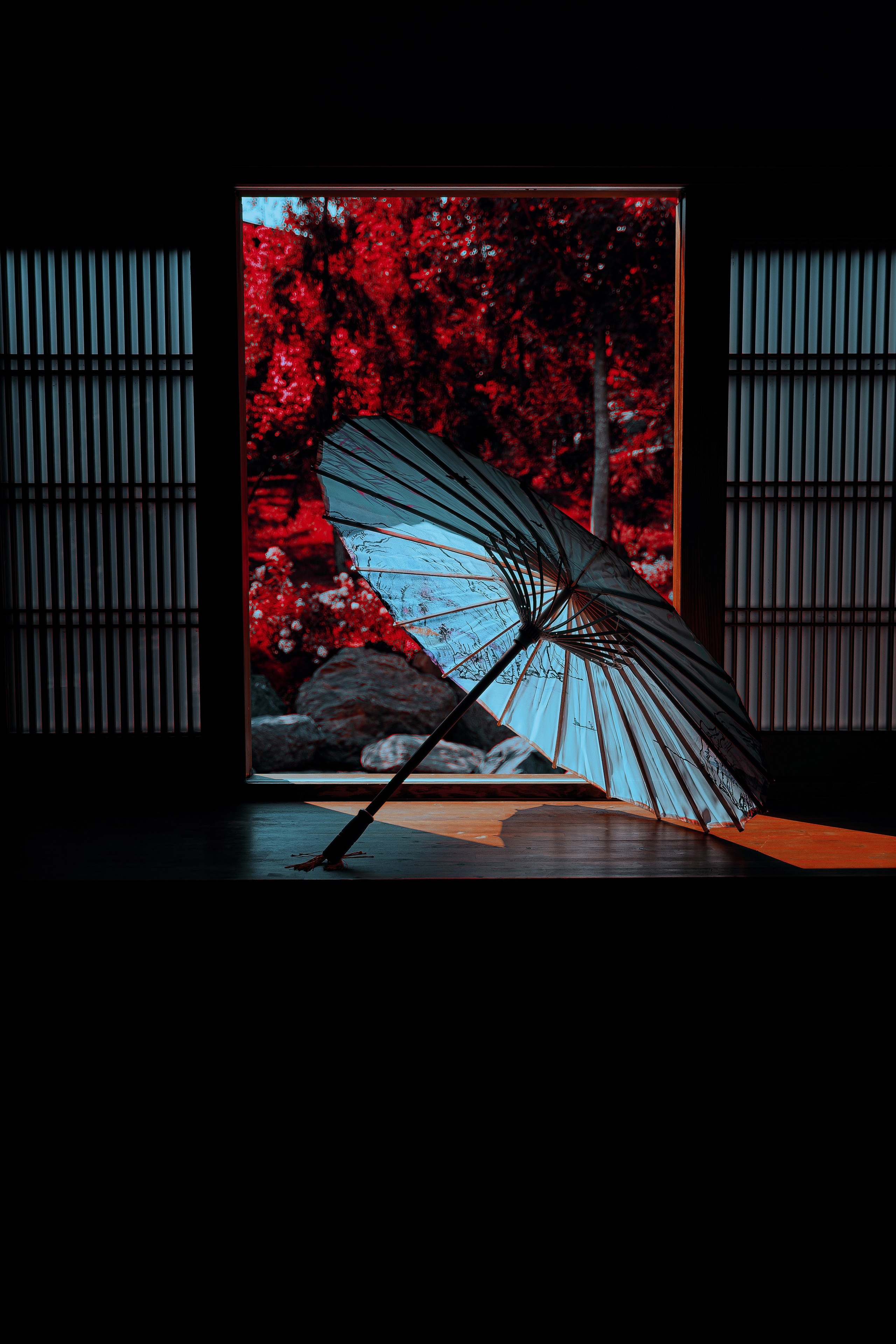 Фотосессия в японском стиле в краснодаре в парке Галицкого. прекрасный образ гейши и женская эстетика. Красивая природа Японии. 