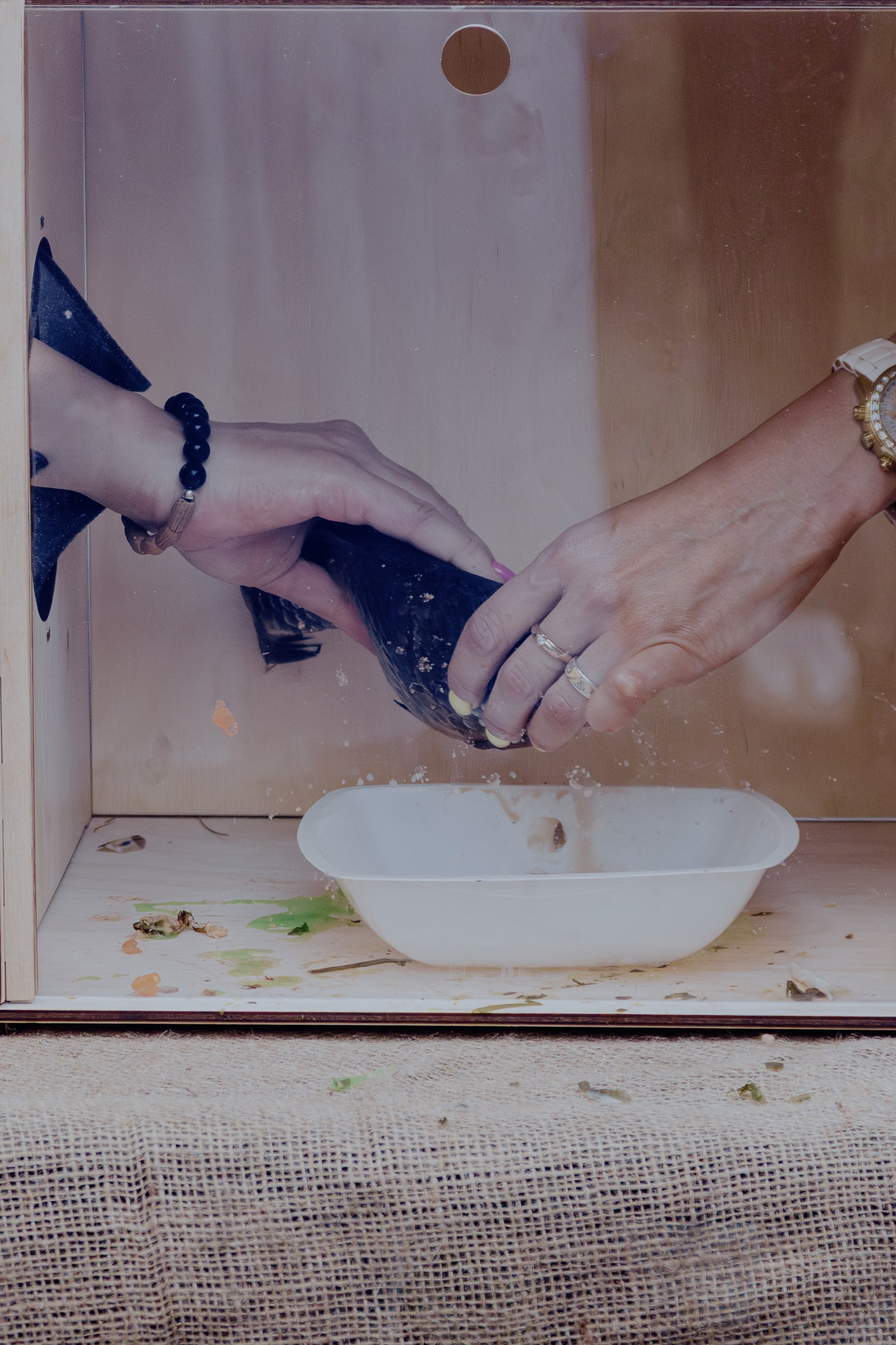 Репортажная съёмка корпоратива компании Феникс. Портретный фотограф в Ростове-на-Дону Антон Казарин