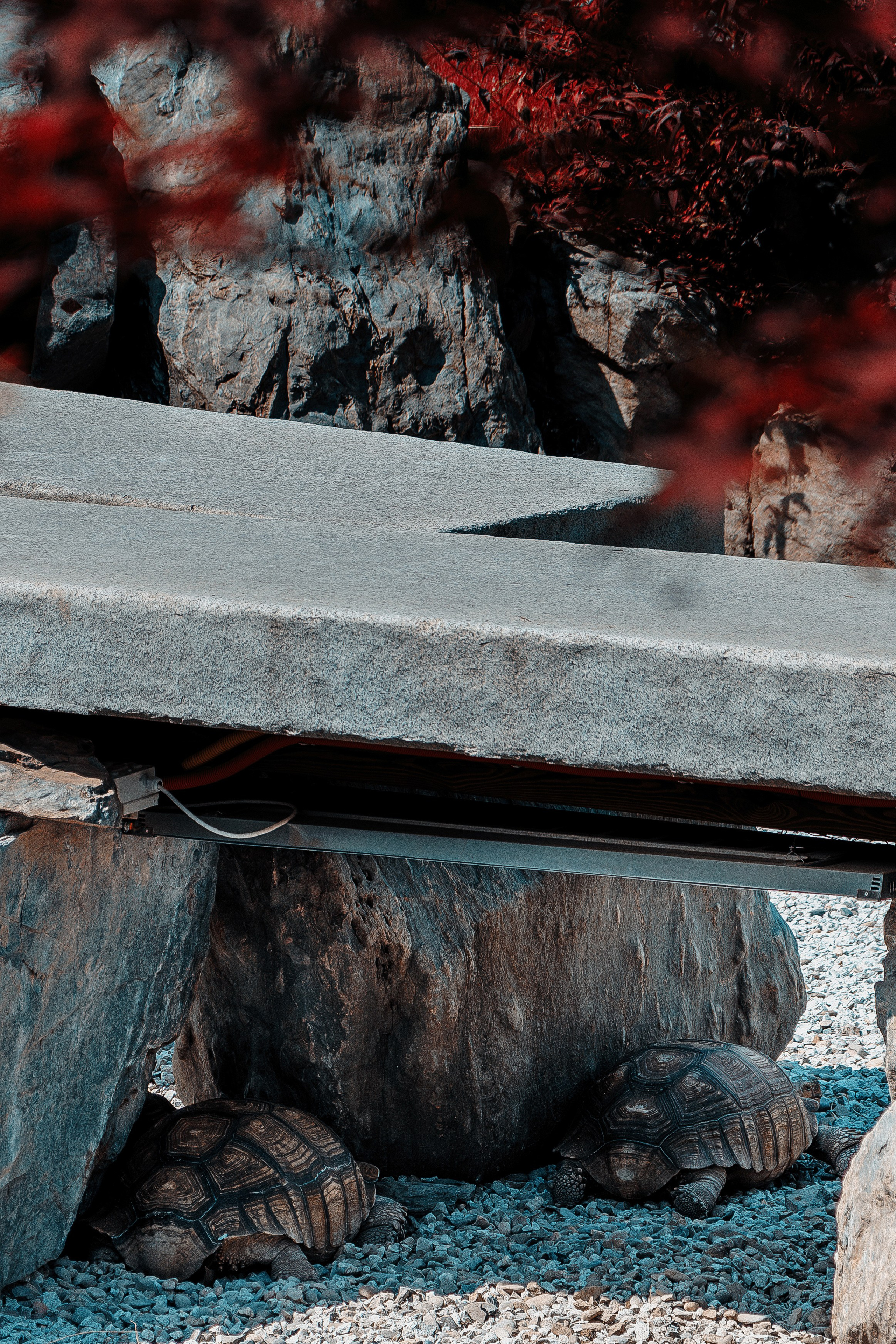 Фотосессия в японском стиле в краснодаре в парке Галицкого. прекрасный образ гейши и женская эстетика. Красивая природа Японии. 