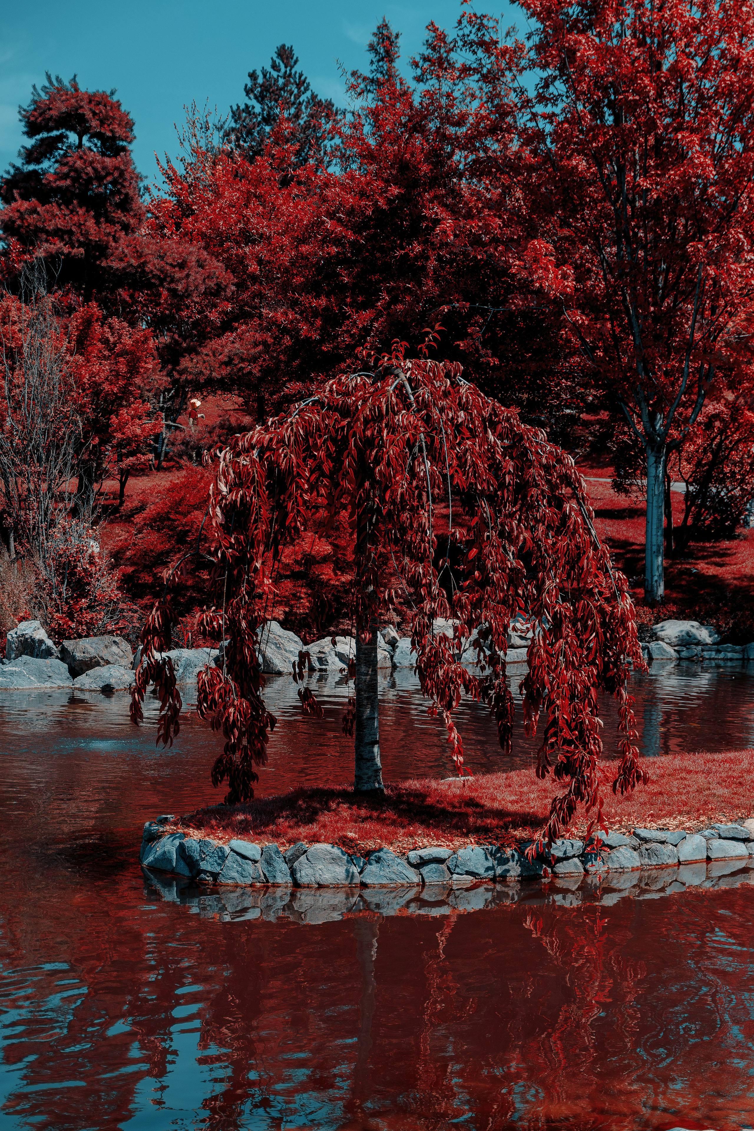 Фотосессия в японском стиле в краснодаре в парке Галицкого. прекрасный образ гейши и женская эстетика. Красивая природа Японии. 