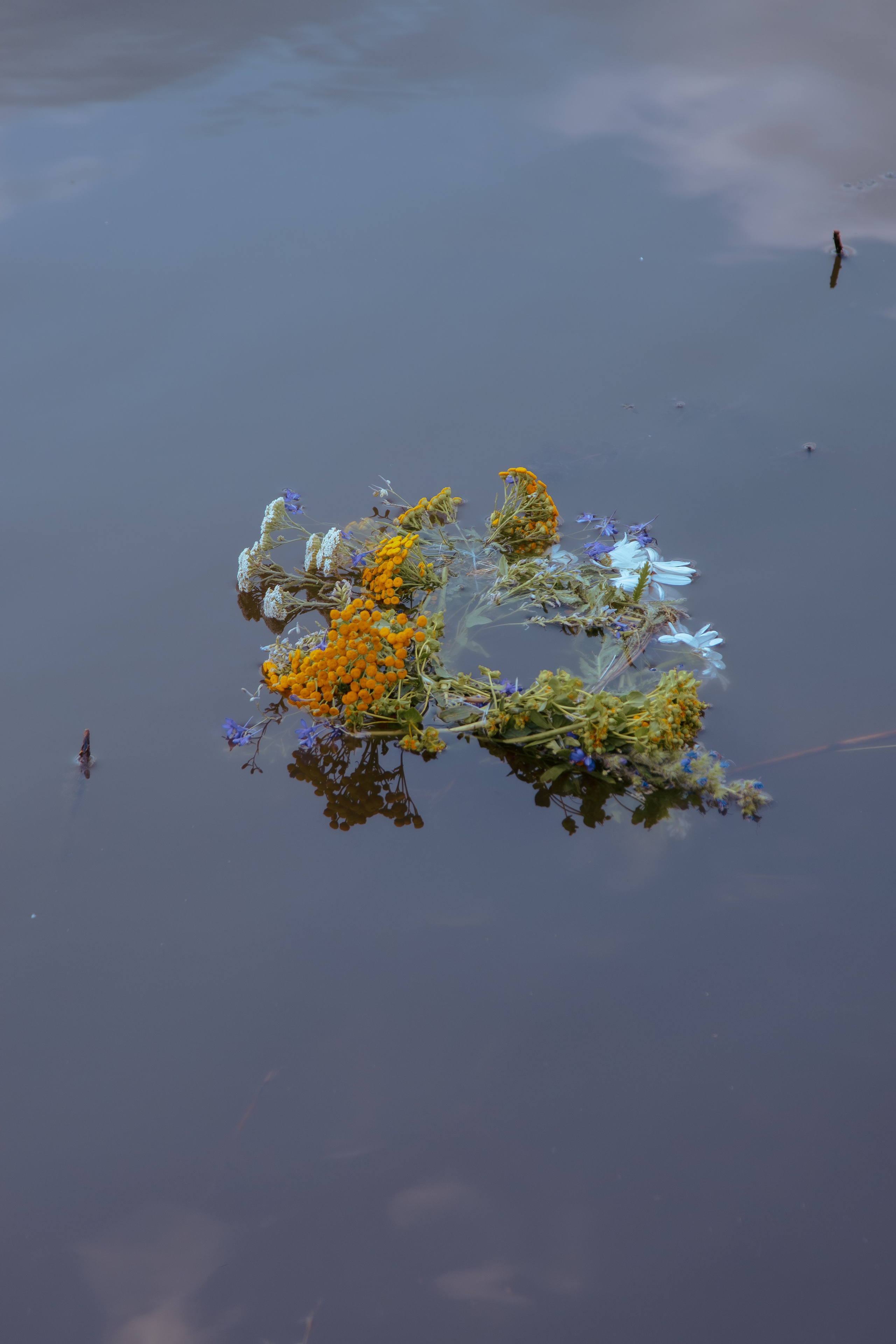 Венок уплывающих по воде