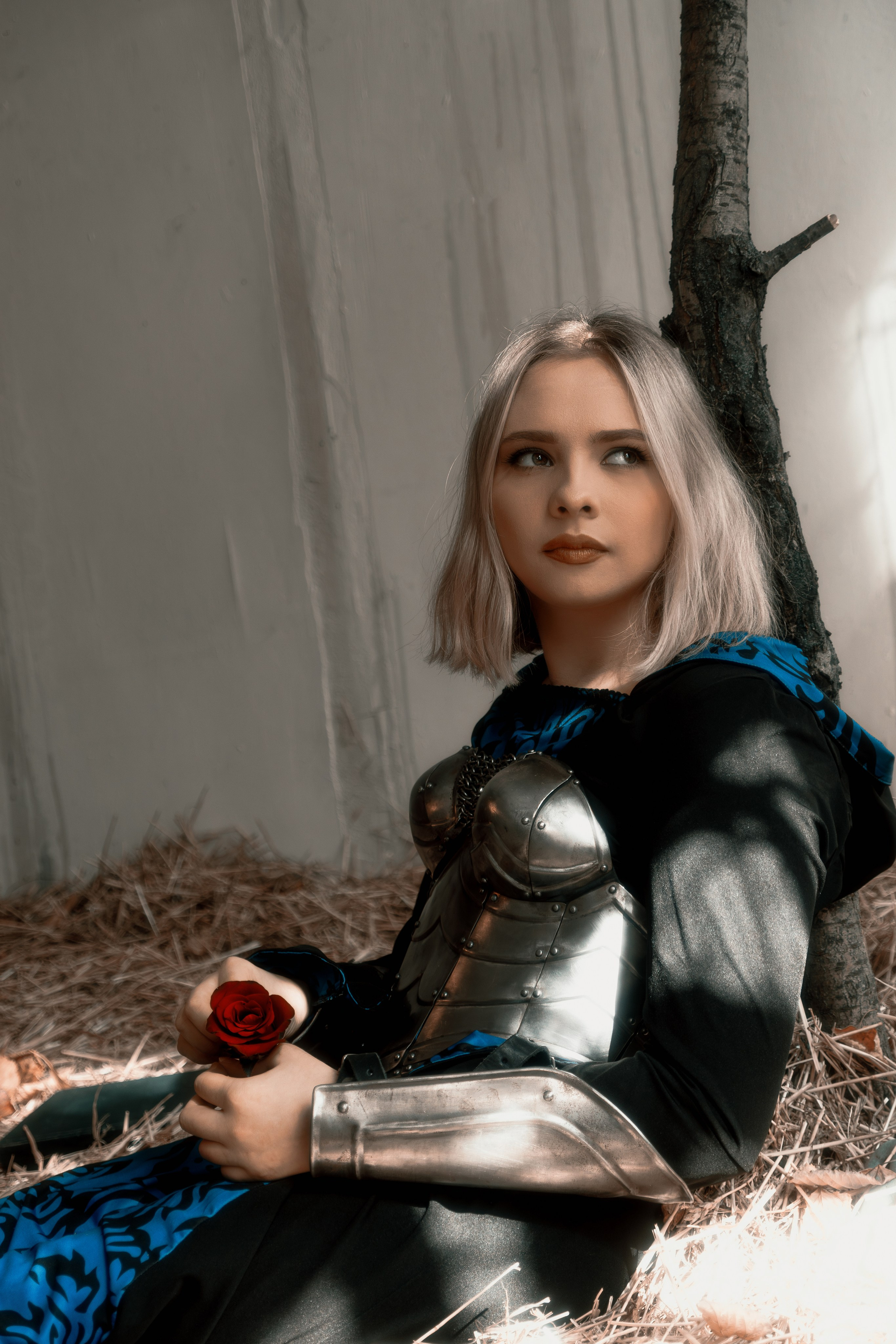 Изысканный портрет девушки в блестящих рыцарских доспехах с профессиональной обработкой. Безупречное качество изображения радует глаз.