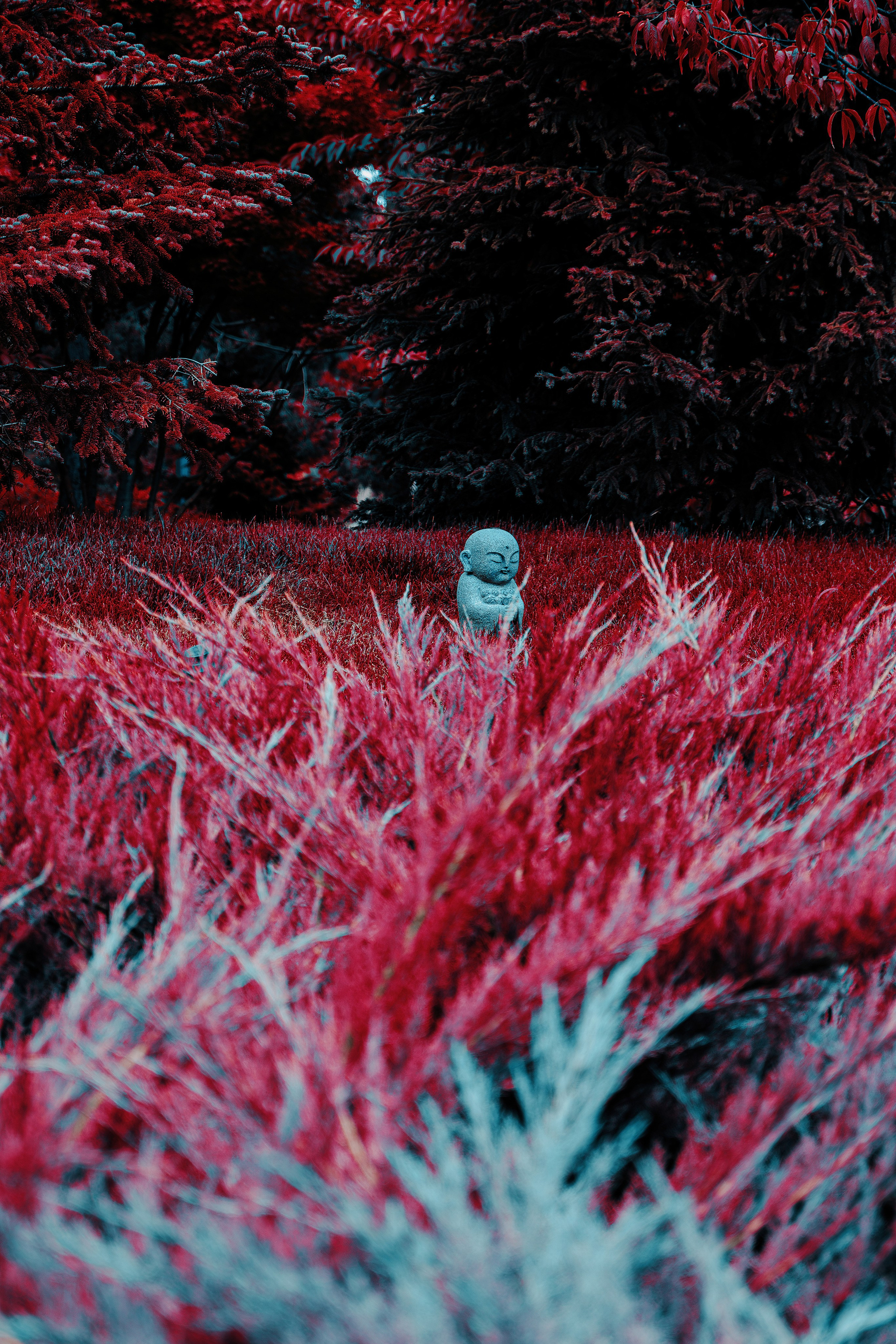 Фотосессия в японском стиле в краснодаре в парке Галицкого. прекрасный образ гейши и женская эстетика. Красивая природа Японии. 