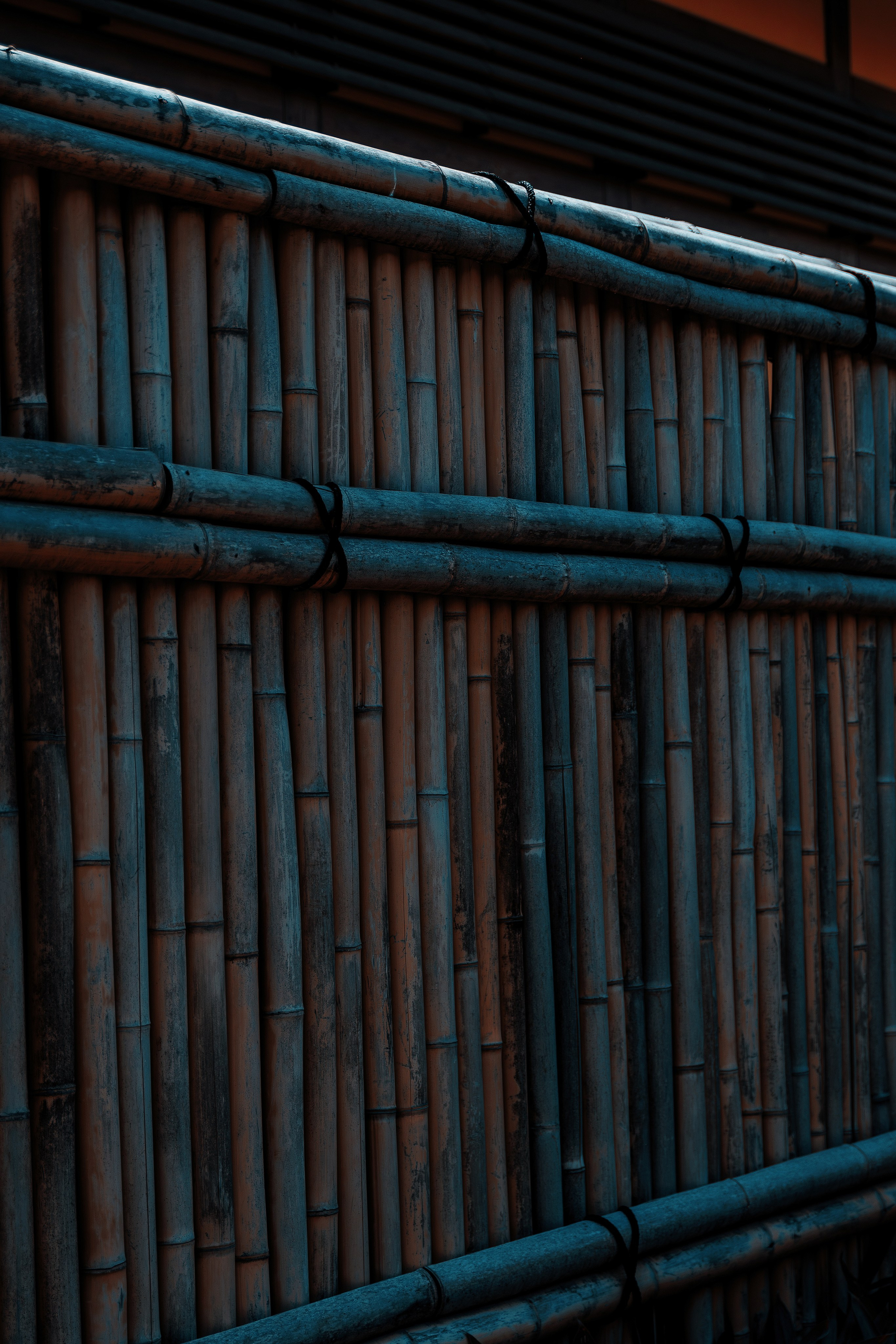 Фотосессия в японском стиле в краснодаре в парке Галицкого. прекрасный образ гейши и женская эстетика. Красивая природа Японии. 