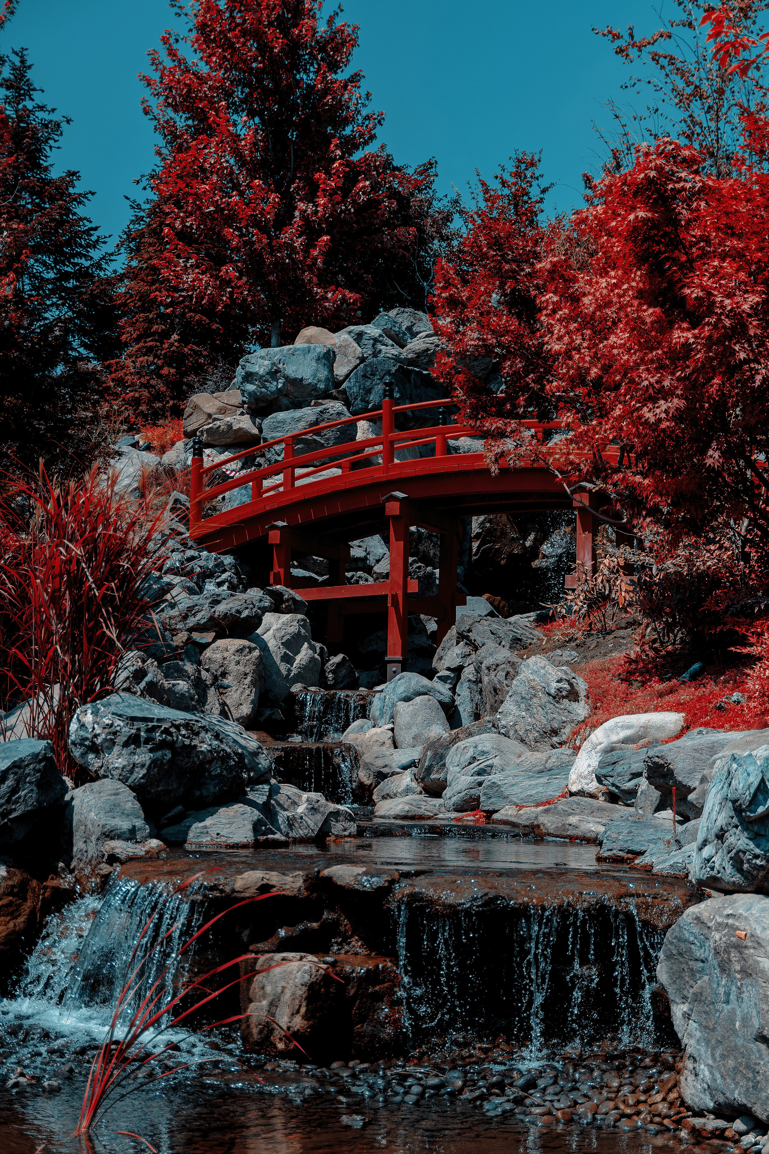 Фотосессия в японском стиле в краснодаре в парке Галицкого. прекрасный образ гейши и женская эстетика. Красивая природа Японии. 