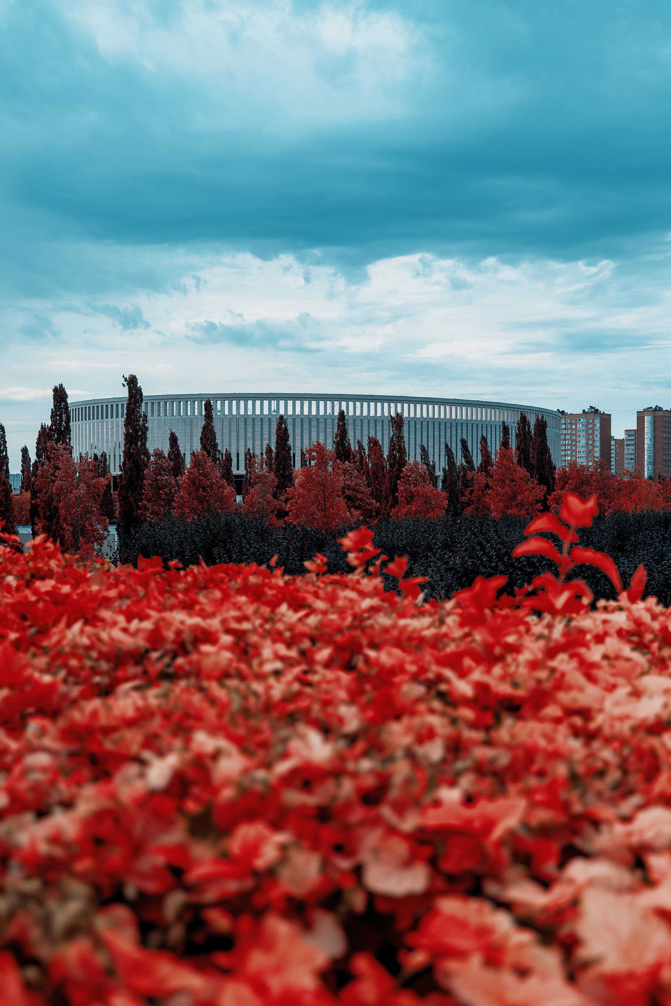 Фотосессия для Лилии в образе Гейши. Портретный фотограф в Ростове-на-Дону Антон Казарин