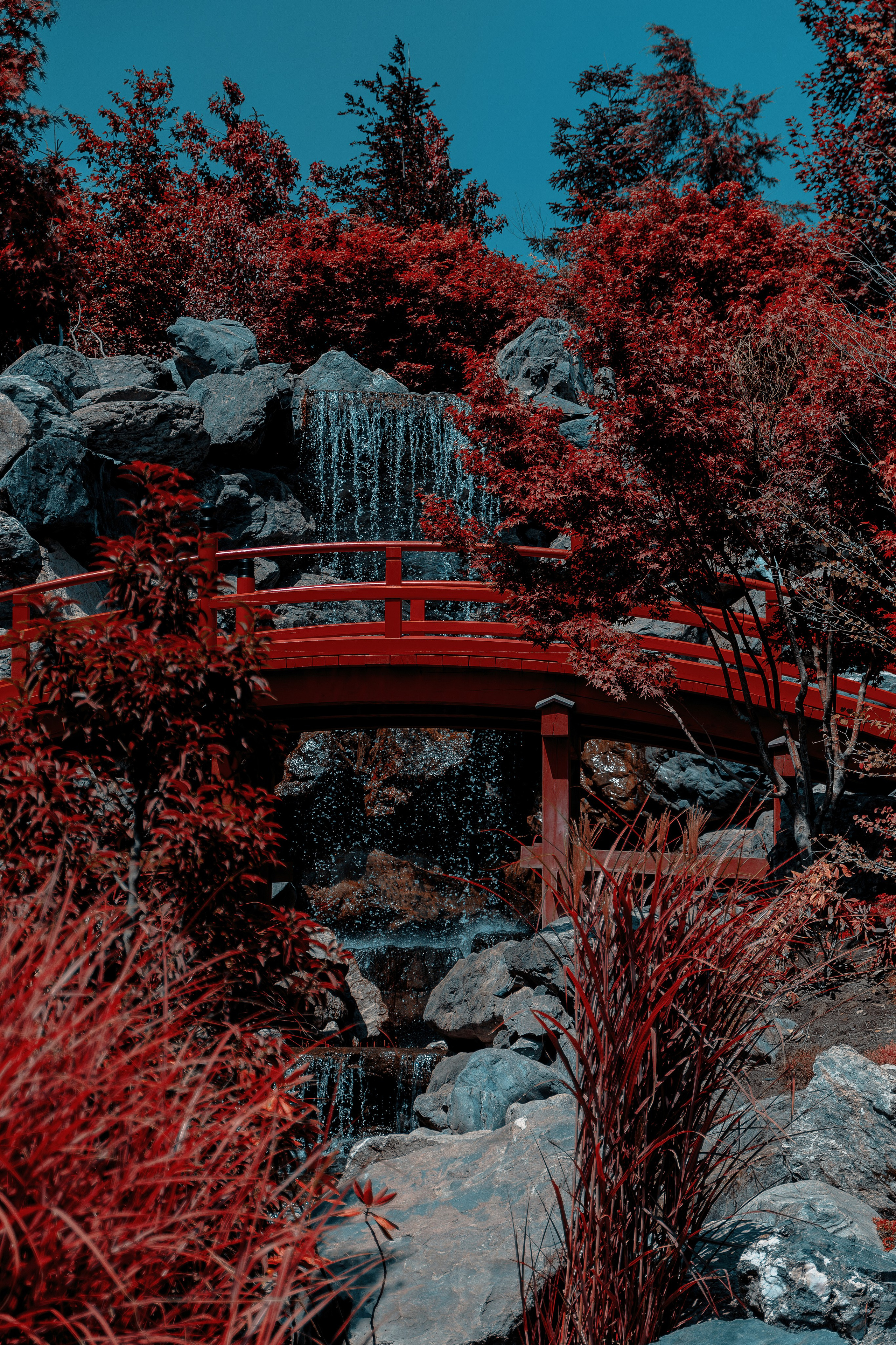 Фотосессия в японском стиле в краснодаре в парке Галицкого. прекрасный образ гейши и женская эстетика. Красивая природа Японии. 