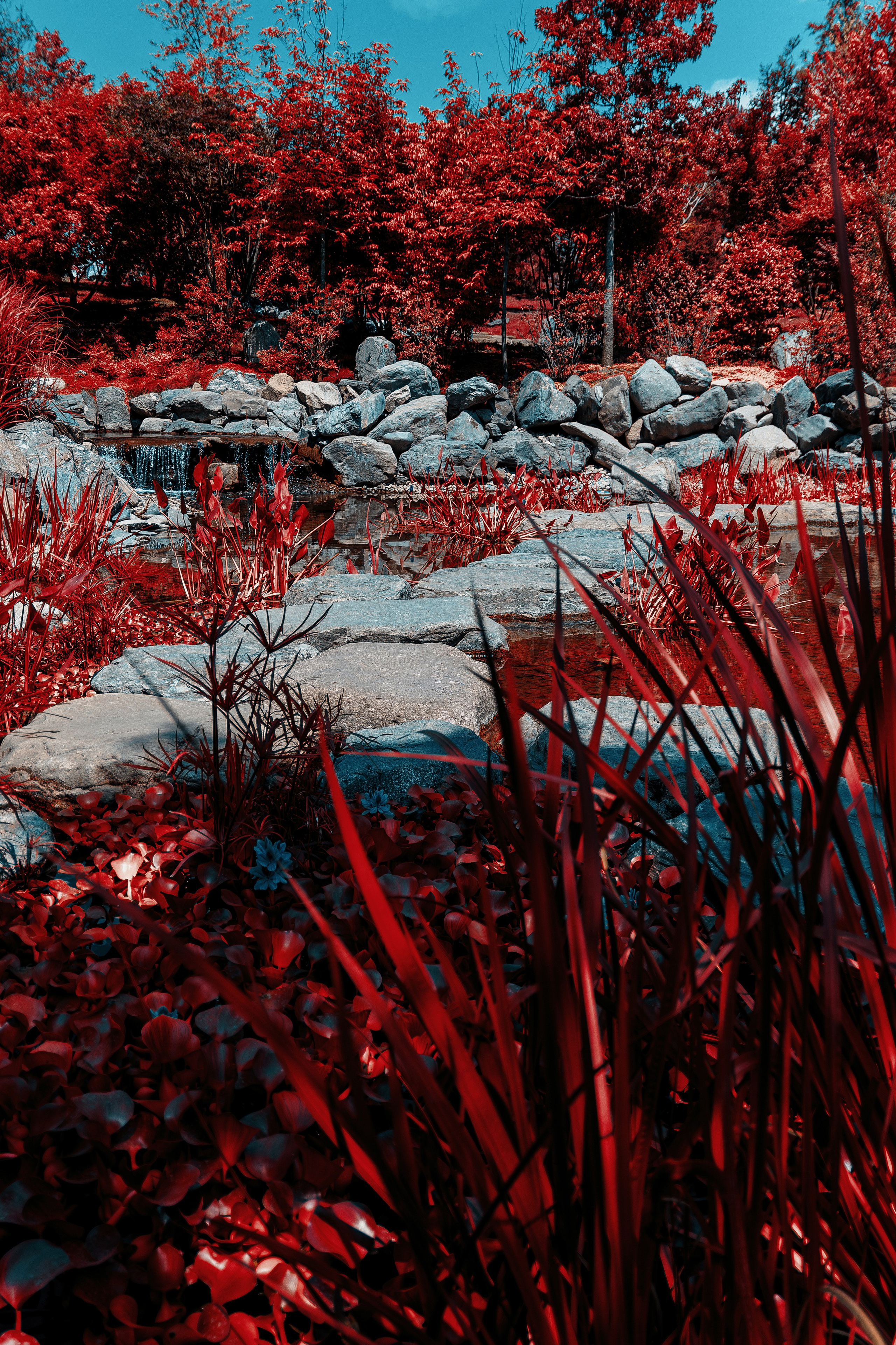 Фотосессия в японском стиле в краснодаре в парке Галицкого. прекрасный образ гейши и женская эстетика. Красивая природа Японии. 