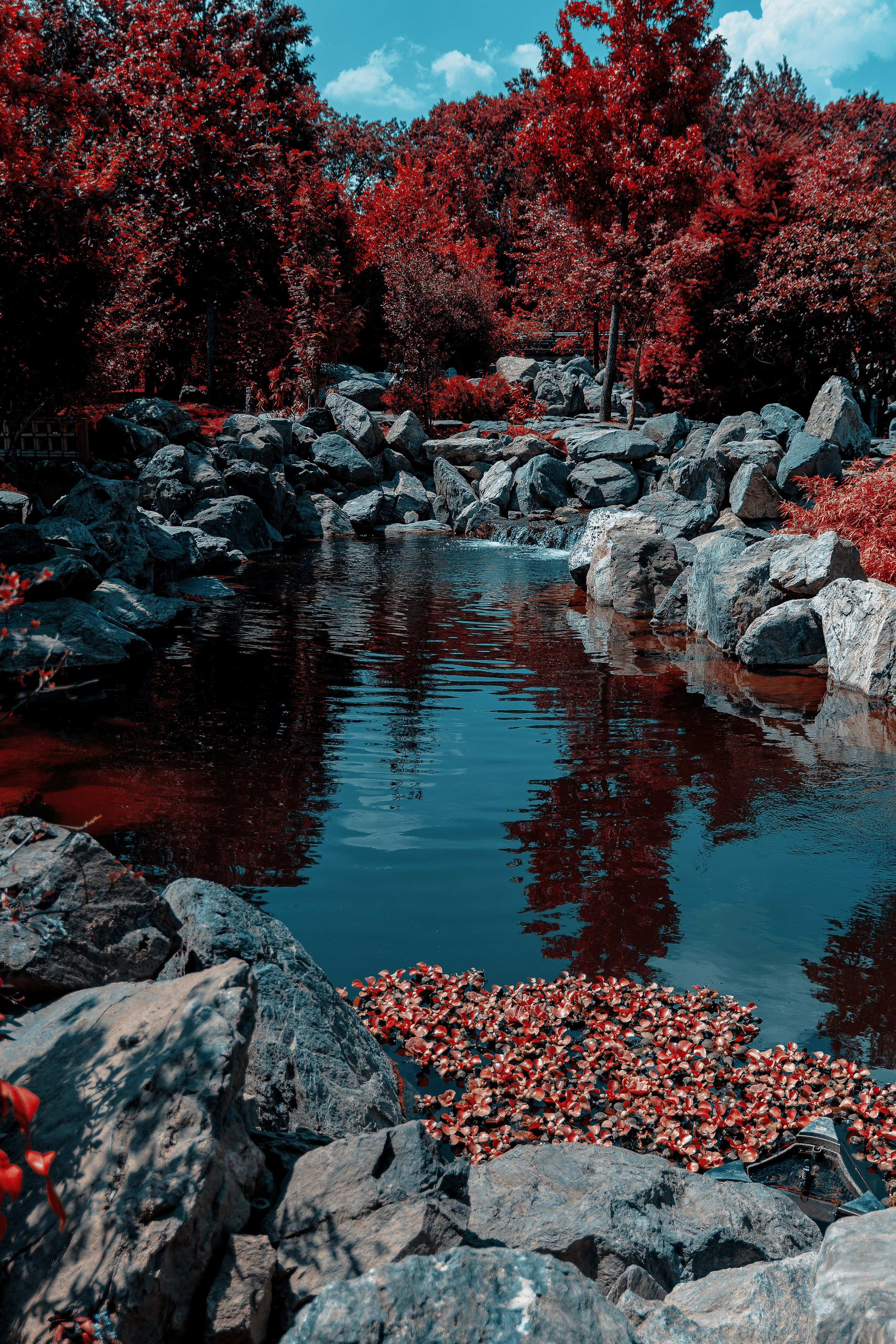 Фотосессия в японском стиле в краснодаре в парке Галицкого. прекрасный образ гейши и женская эстетика. Красивая природа Японии. 