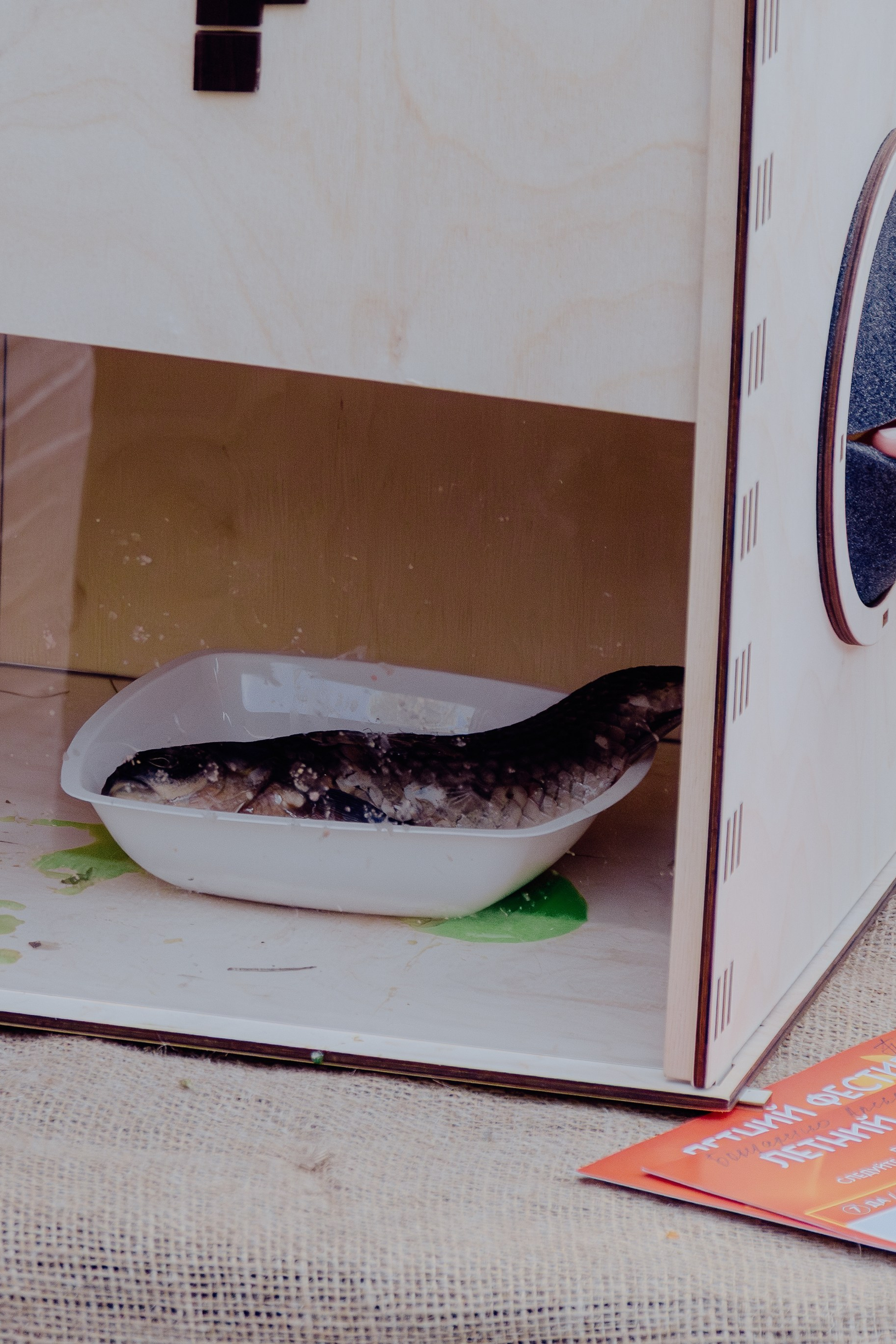 Репортажная съёмка корпоратива компании Феникс. Портретный фотограф в Ростове-на-Дону Антон Казарин