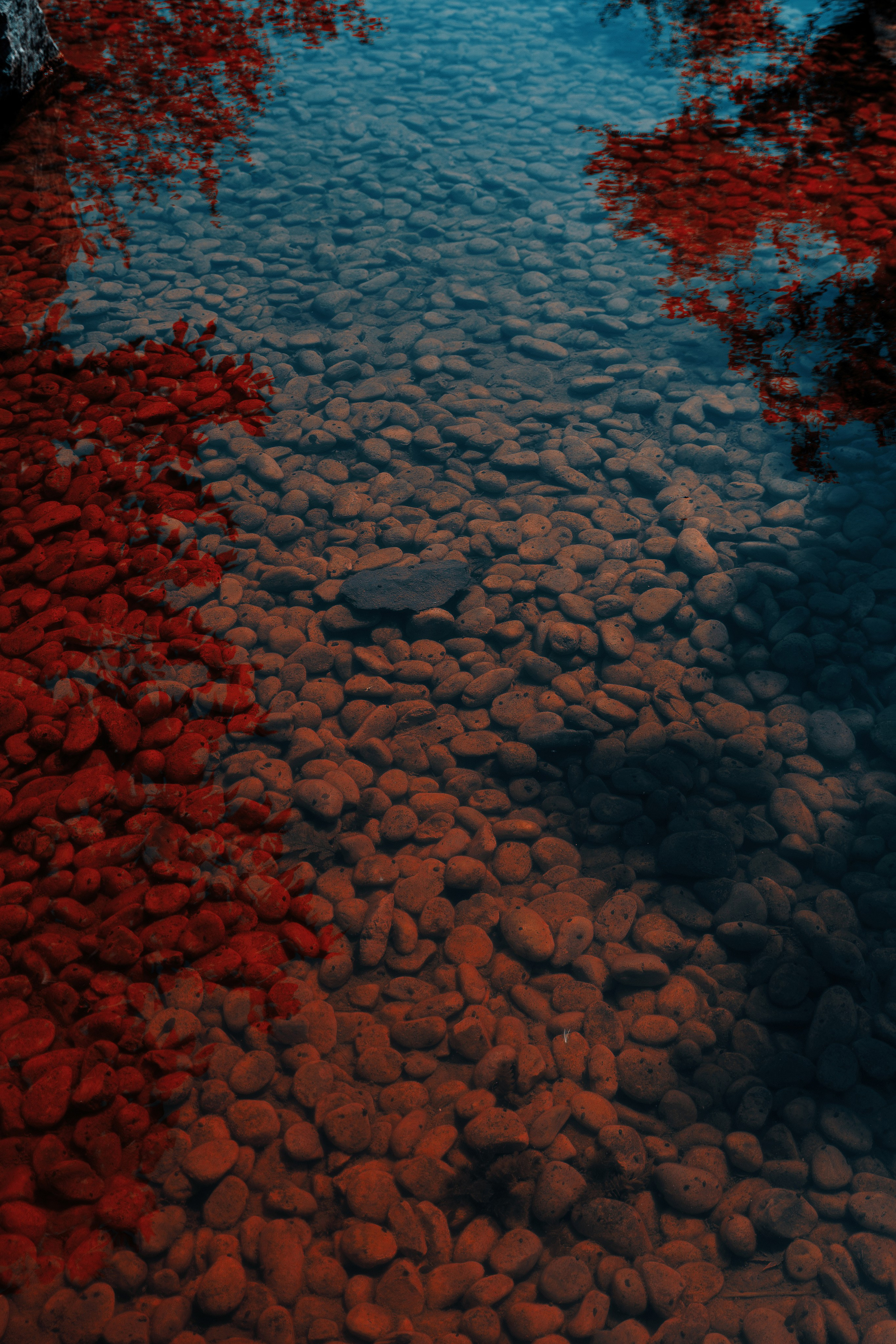 Фотосессия в японском стиле в краснодаре в парке Галицкого. прекрасный образ гейши и женская эстетика. Красивая природа Японии. 