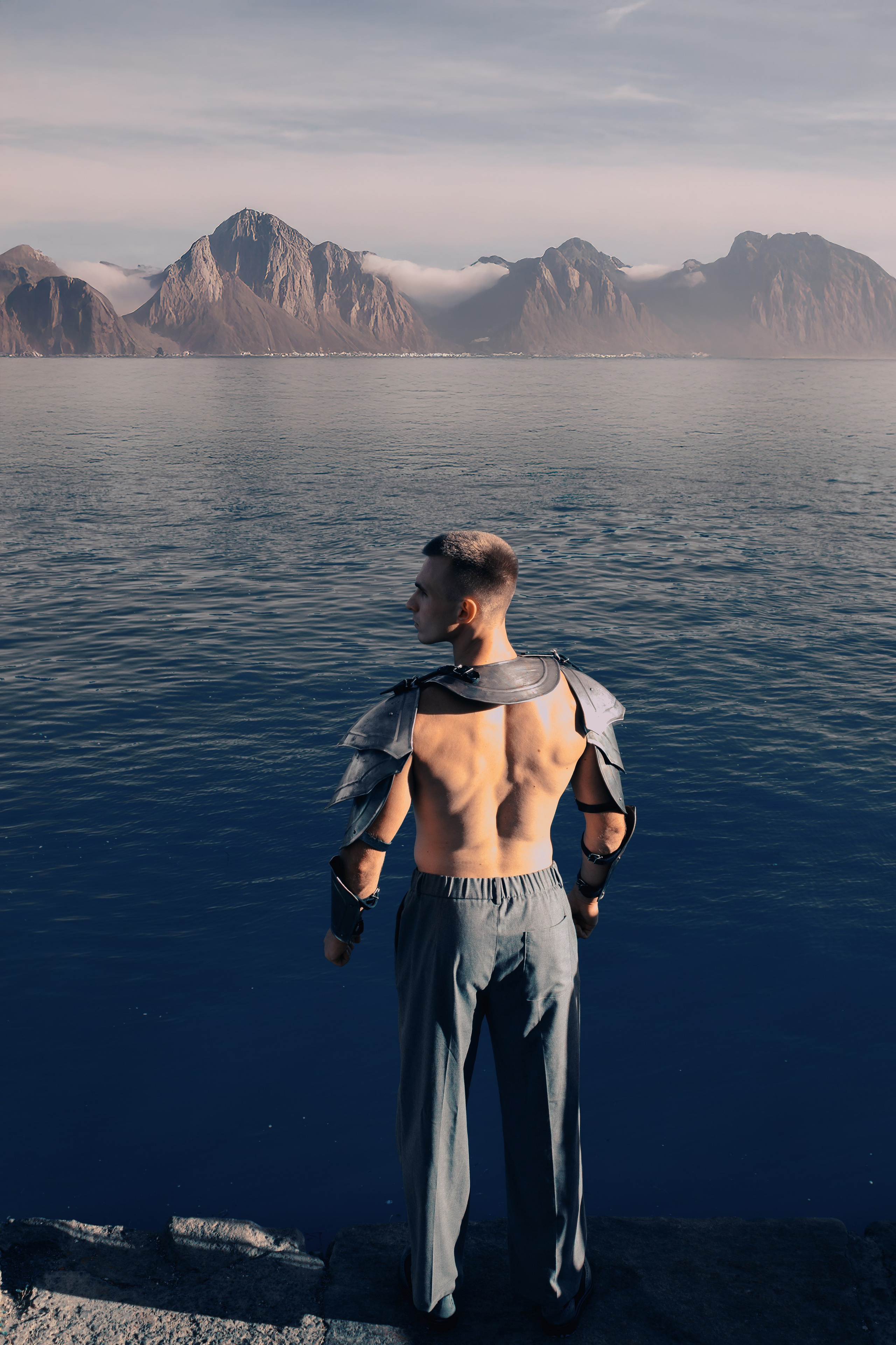 Рыцарь в доспехах стоит спиной к зрителю, смотря налево. На горизонте видно горы и воду