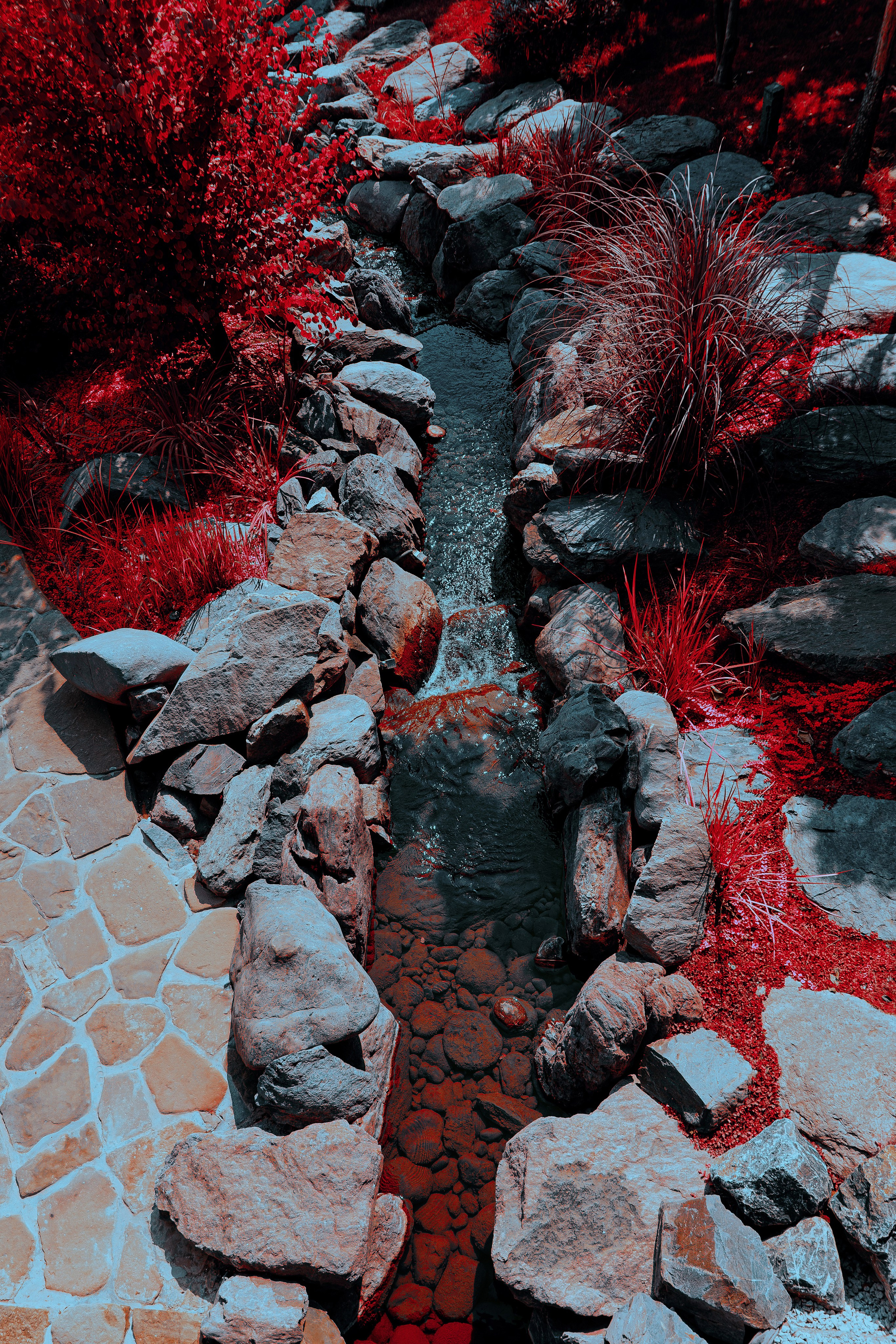 Фотосессия в японском стиле в краснодаре в парке Галицкого. прекрасный образ гейши и женская эстетика. Красивая природа Японии. 