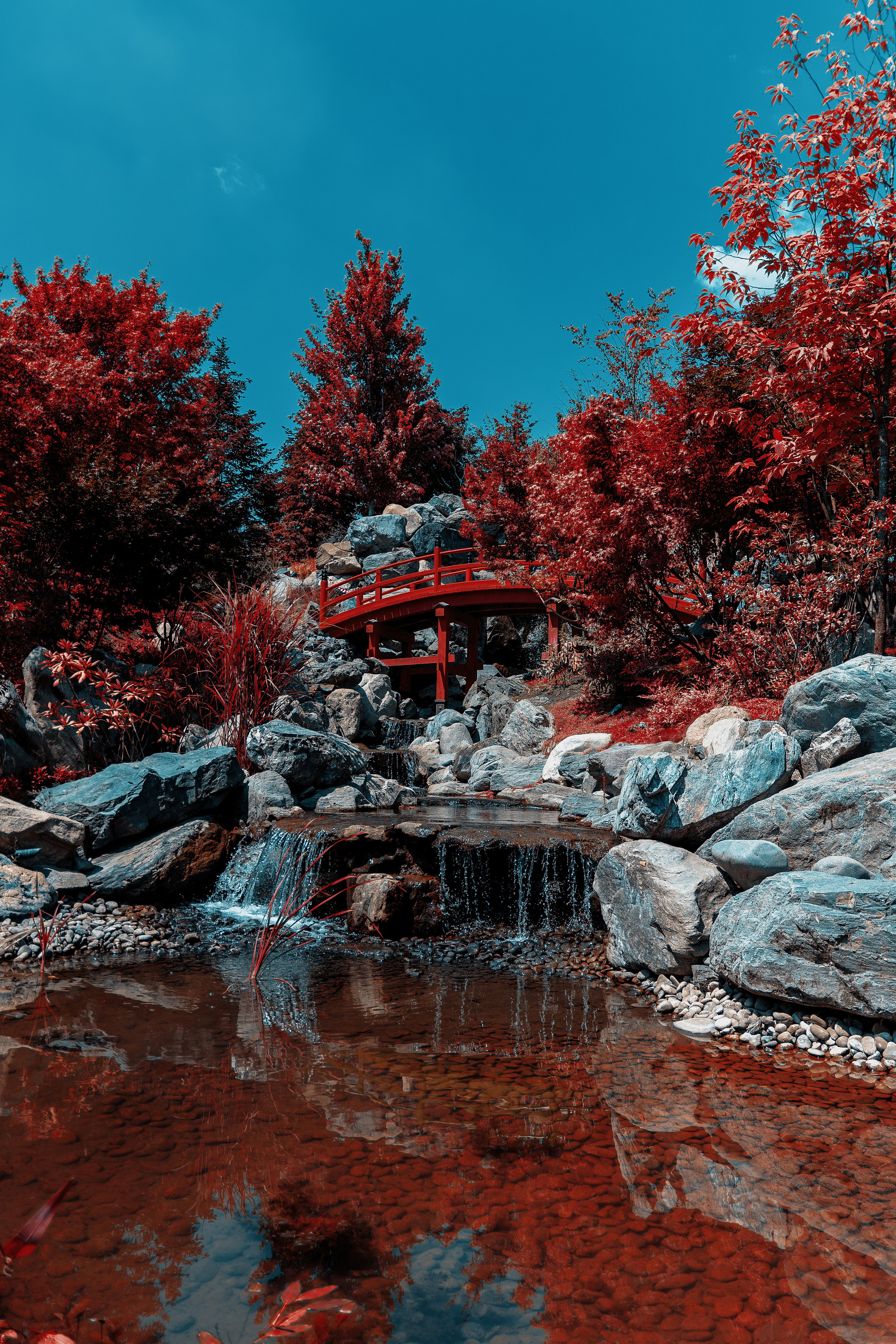 Фотосессия в японском стиле в краснодаре в парке Галицкого. прекрасный образ гейши и женская эстетика. Красивая природа Японии. 