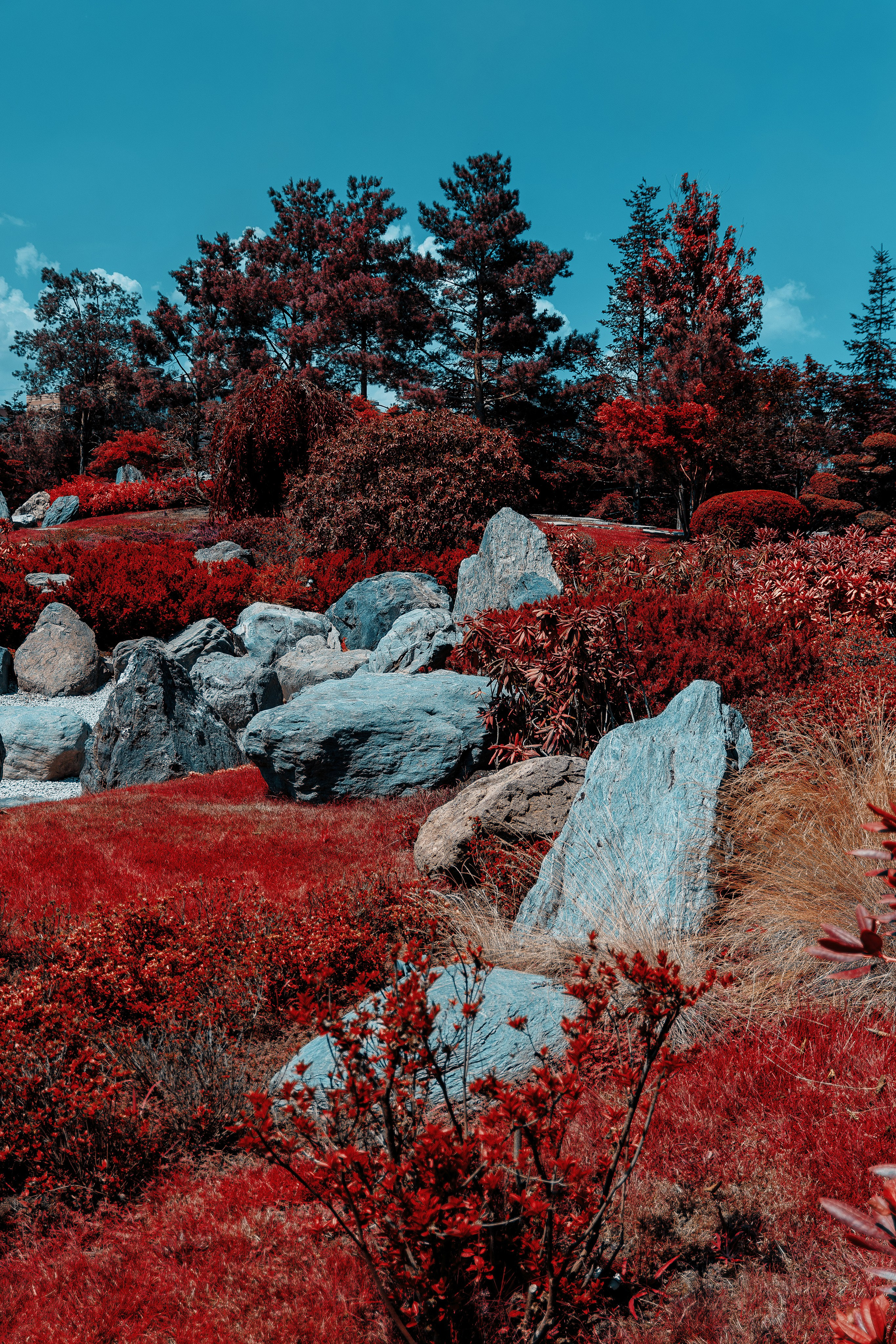 Фотосессия в японском стиле в краснодаре в парке Галицкого. прекрасный образ гейши и женская эстетика. Красивая природа Японии. 