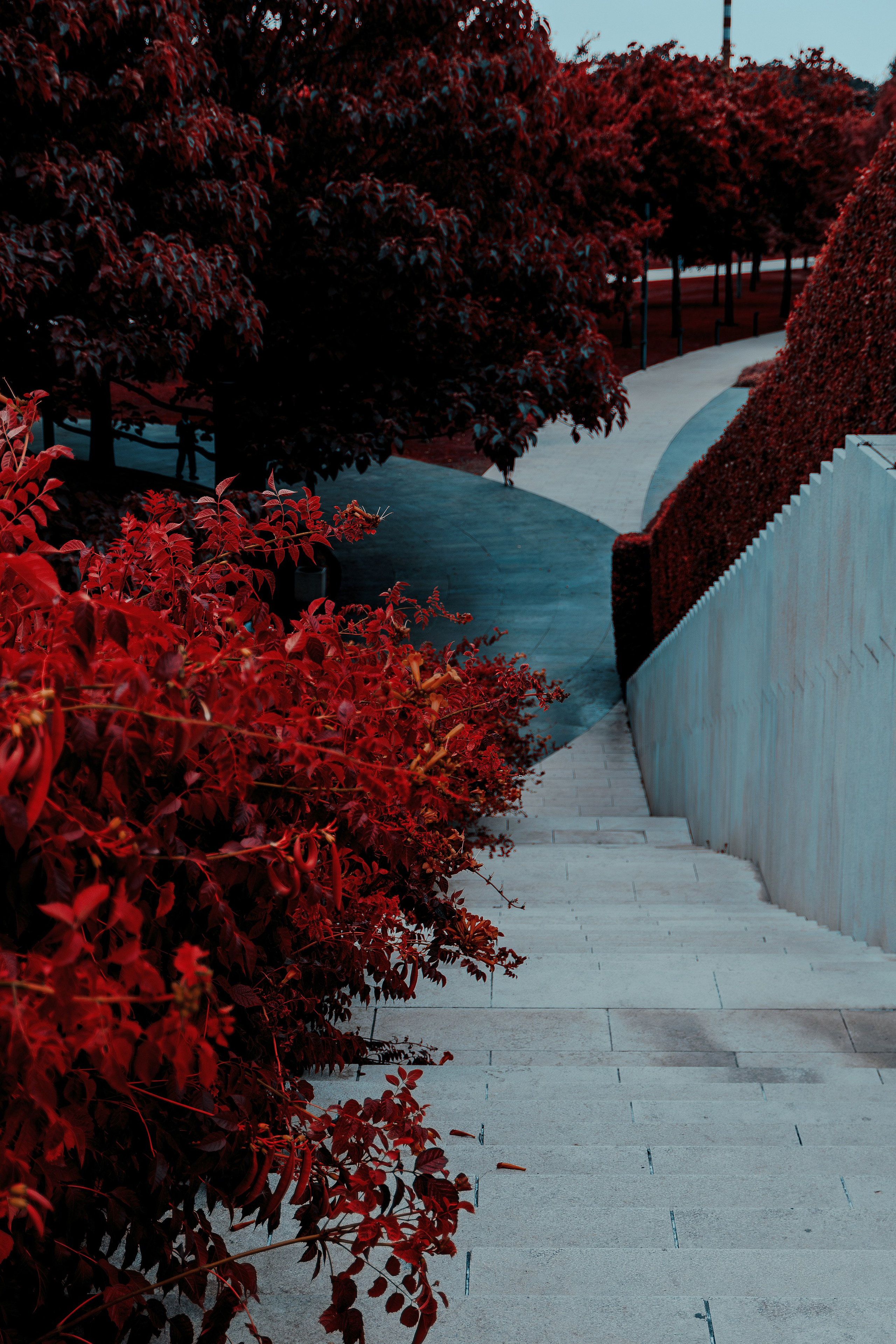 Фотосессия в японском стиле в краснодаре в парке Галицкого. прекрасный образ гейши и женская эстетика. Красивая природа Японии. 