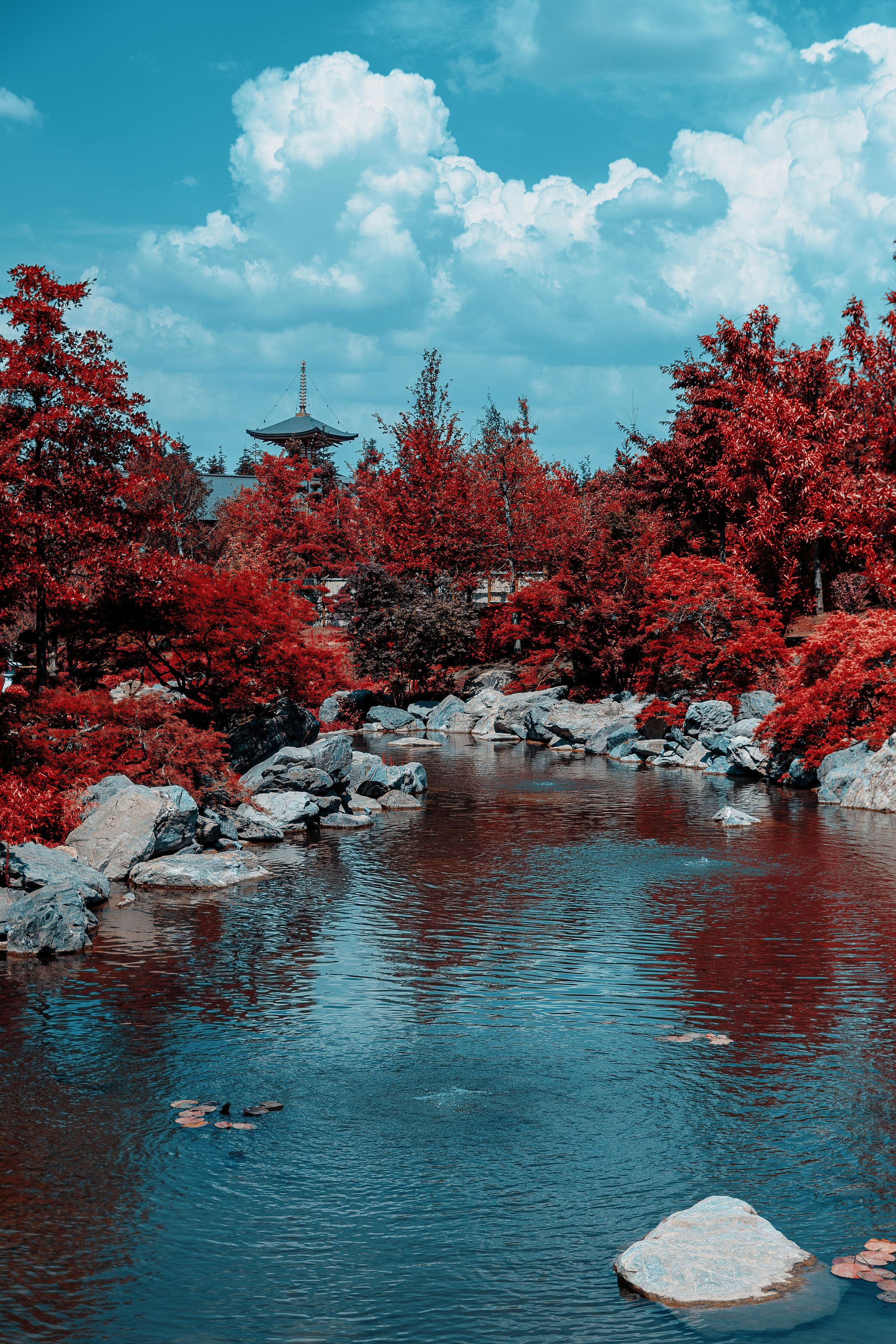 Фотосессия в японском стиле в краснодаре в парке Галицкого. прекрасный образ гейши и женская эстетика. Красивая природа Японии. 