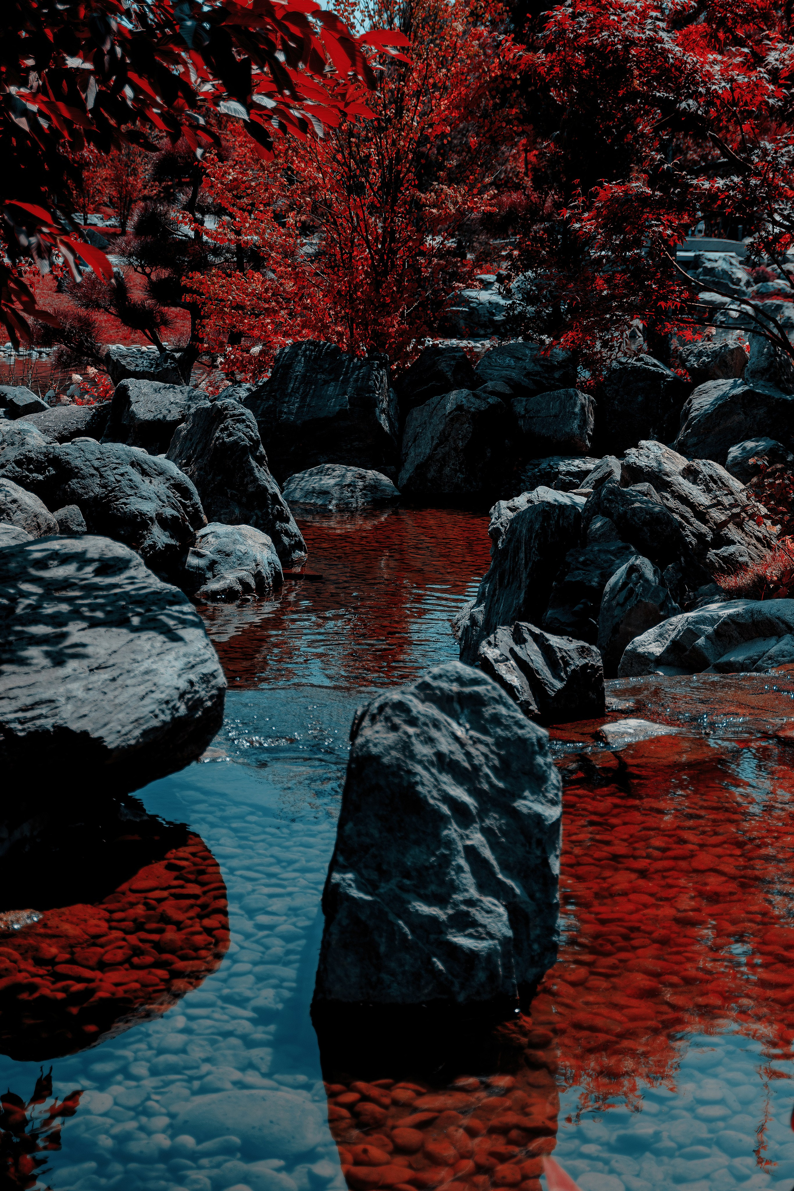 Фотосессия в японском стиле в краснодаре в парке Галицкого. прекрасный образ гейши и женская эстетика. Красивая природа Японии. 