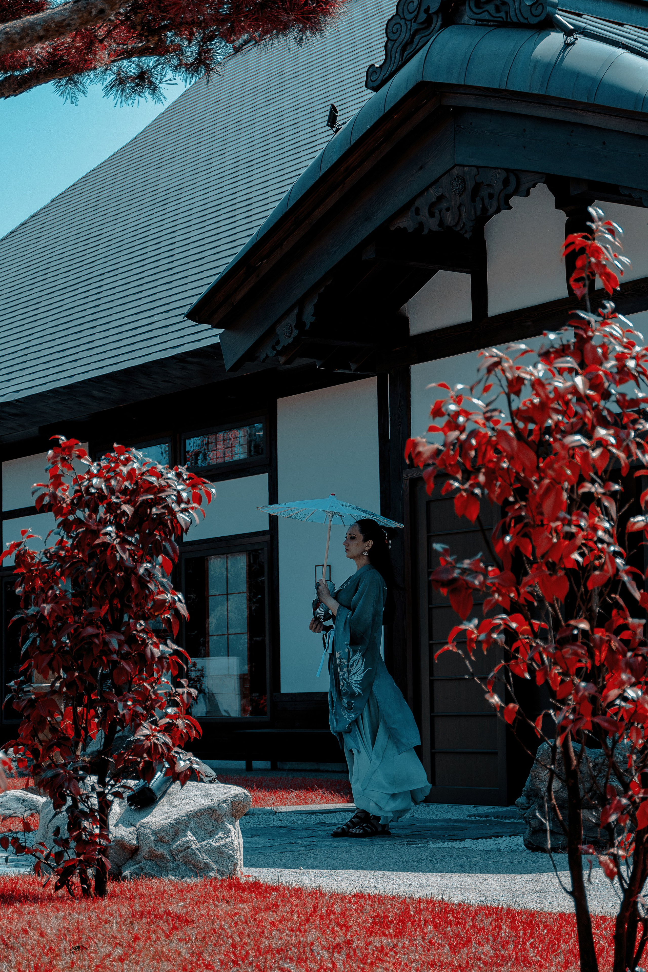 Фотосессия в японском стиле в краснодаре в парке Галицкого. прекрасный образ гейши и женская эстетика. Красивая природа Японии. 