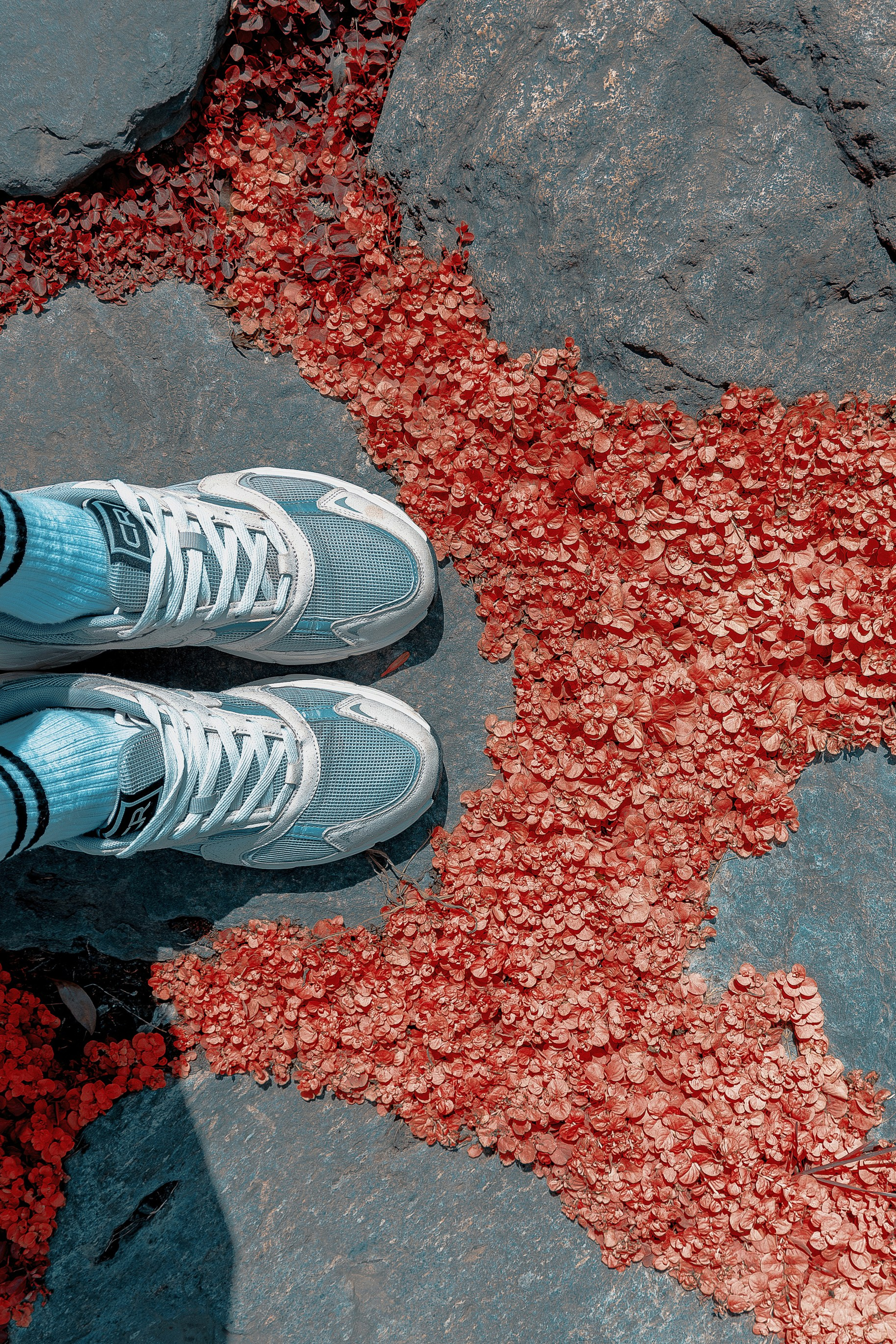 Фотосессия в японском стиле в краснодаре в парке Галицкого. прекрасный образ гейши и женская эстетика. Красивая природа Японии. 